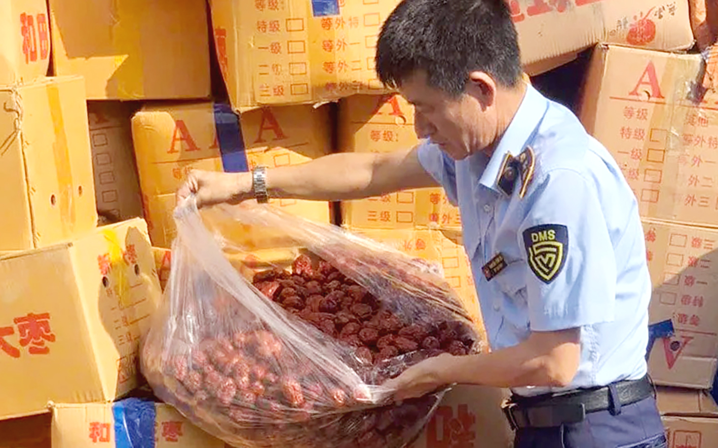 Xử phạt, thu giữ lô táo đỏ nhập lậu