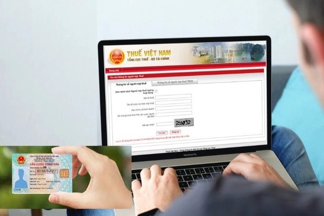 Hướng dẫn của ngành thuế về sử dụng số định danh cá nhân thay cho mã số thuế - Ảnh 1.