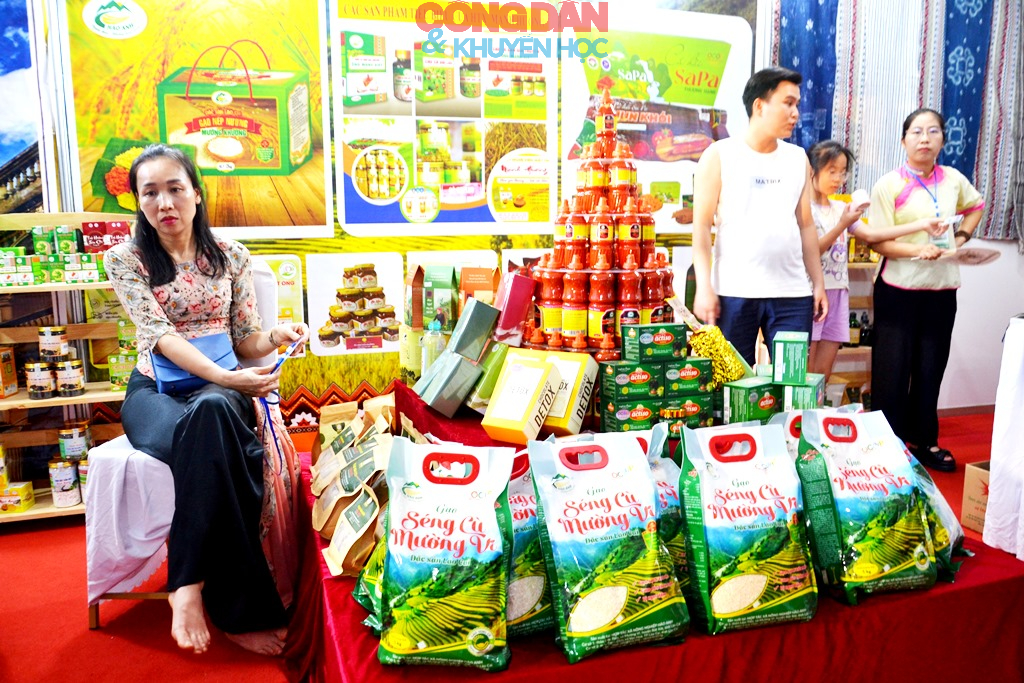 Khai mạc Hội chợ du lịch quốc tế Lào Cai thu hút 10 quốc gia và vùng lãnh thổ, với hơn 130 gian hàng - Ảnh 9.