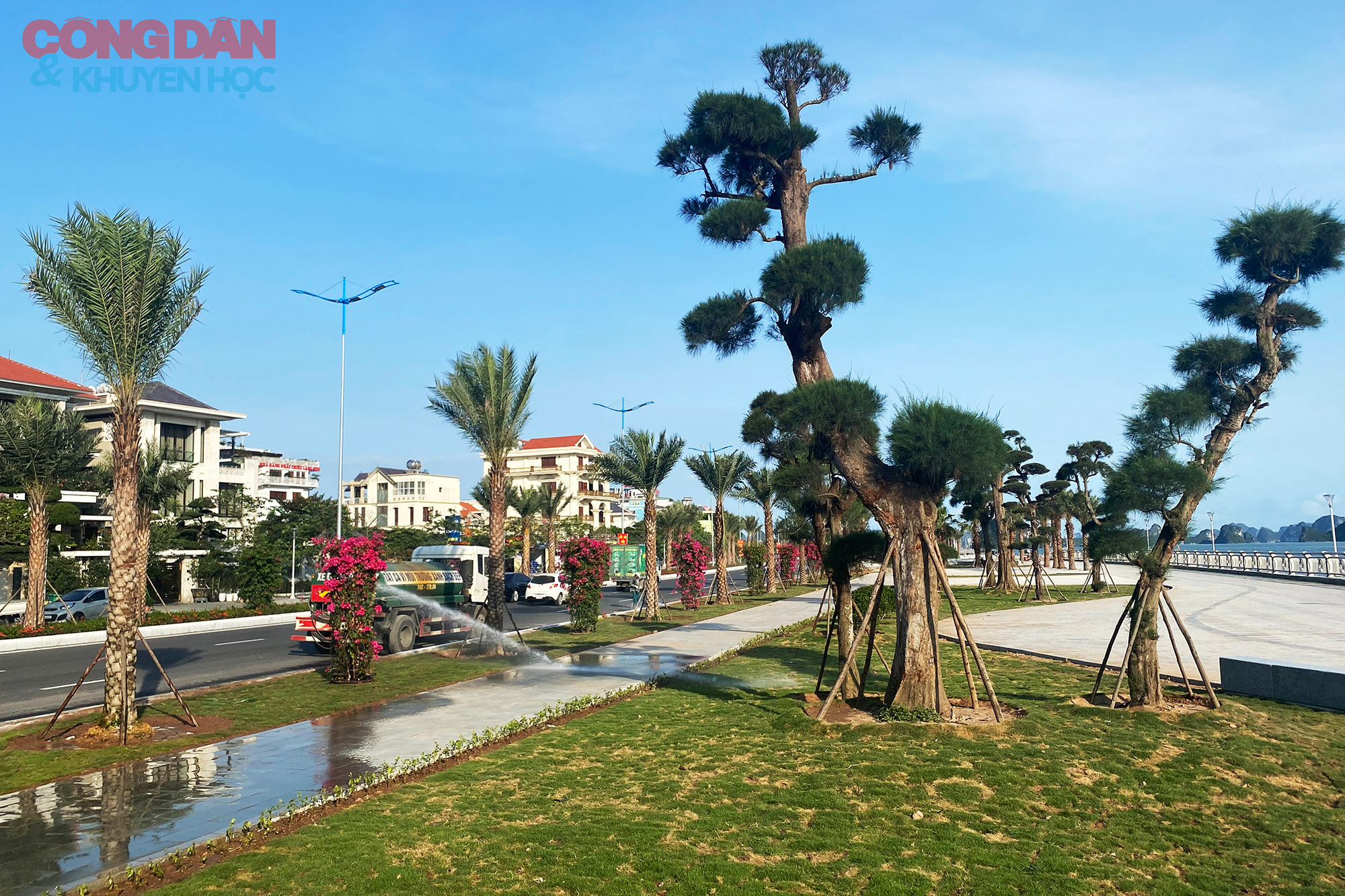 Toàn cảnh tuyến đường bao biển đẹp như mơ ở Quảng Ninh - Ảnh 4.