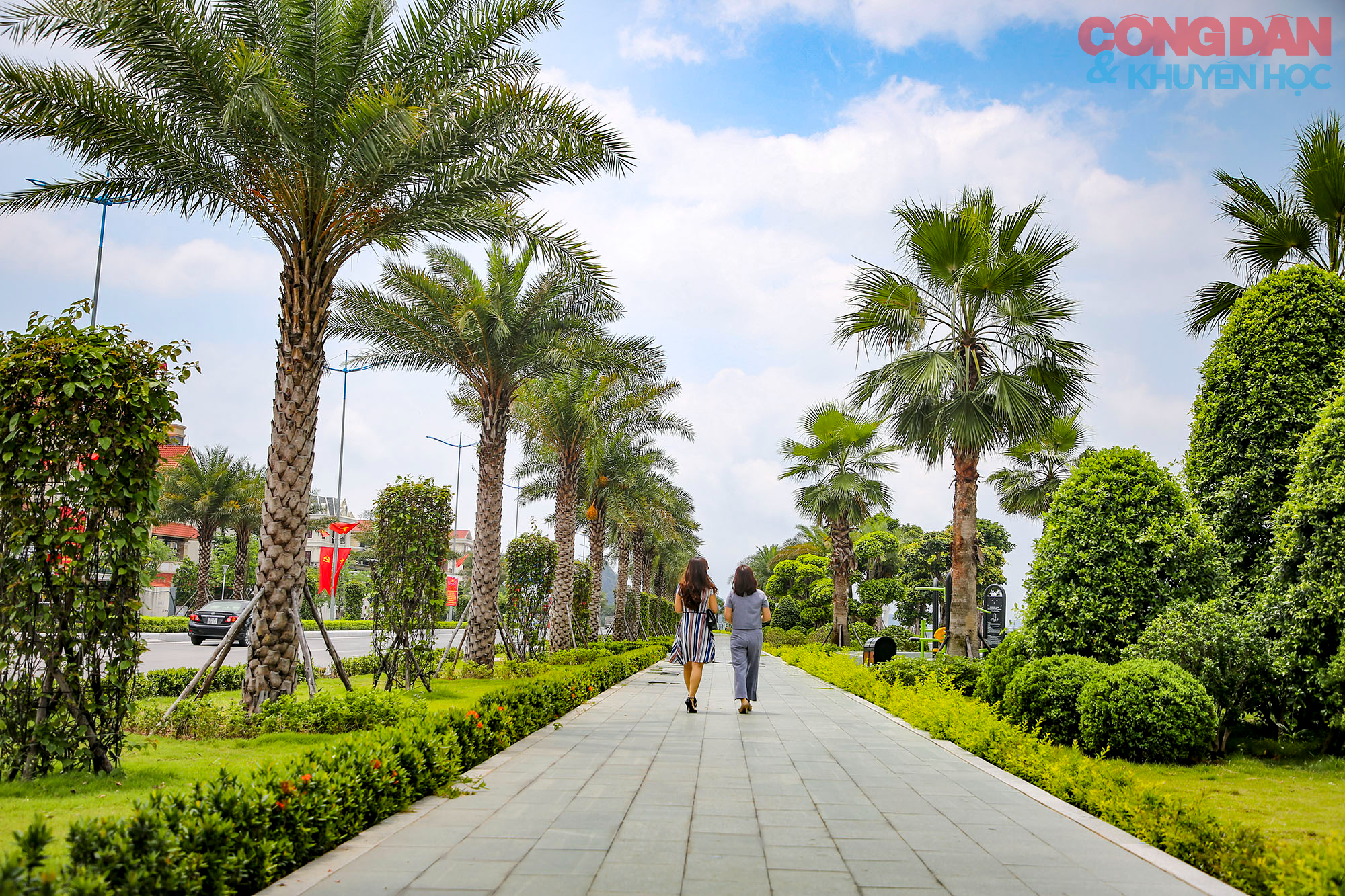Toàn cảnh tuyến đường bao biển đẹp như mơ ở Quảng Ninh - Ảnh 6.