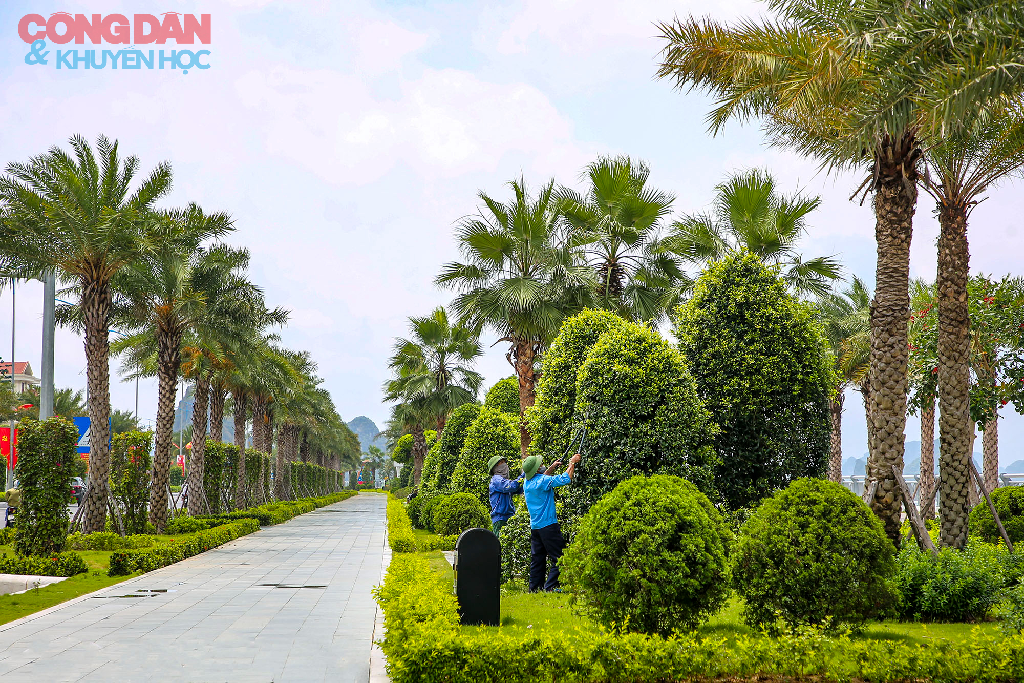 Toàn cảnh tuyến đường bao biển đẹp như mơ ở Quảng Ninh - Ảnh 7.