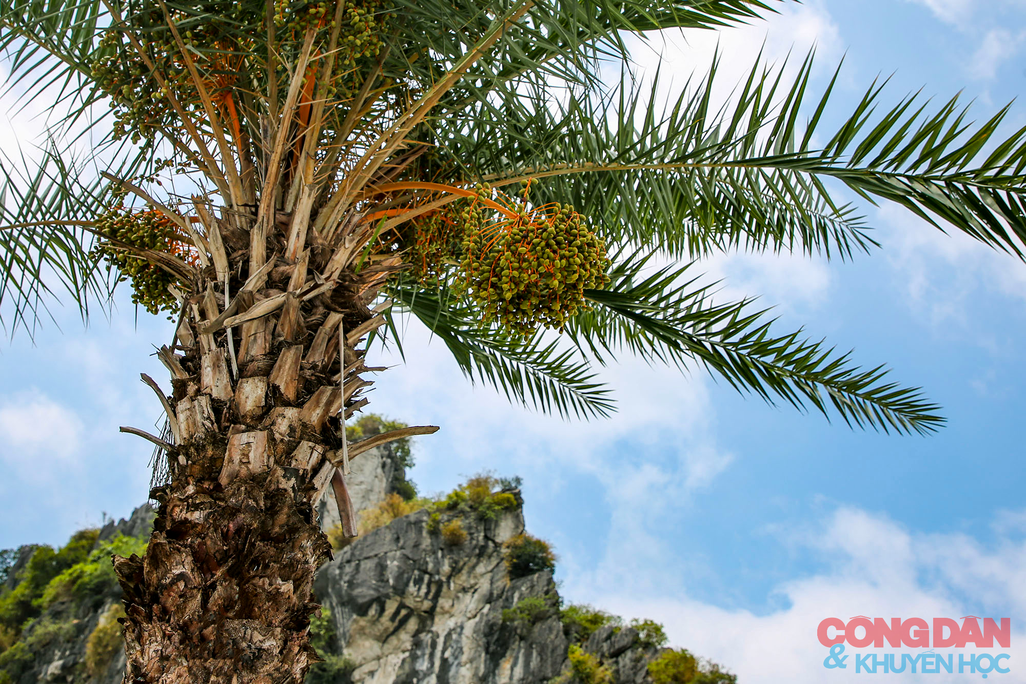 Toàn cảnh tuyến đường bao biển đẹp như mơ ở Quảng Ninh - Ảnh 8.