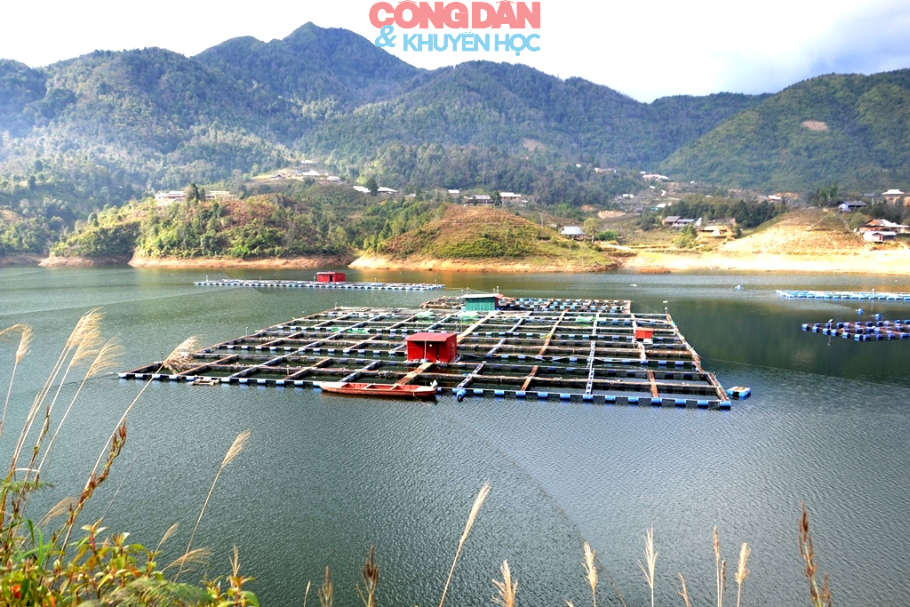 Hội thảo ứng dụng công nghệ cao phát triển nông nghiệp gắn với du lịch xanh bền vững ở phường Sa Pa - Ảnh 11.