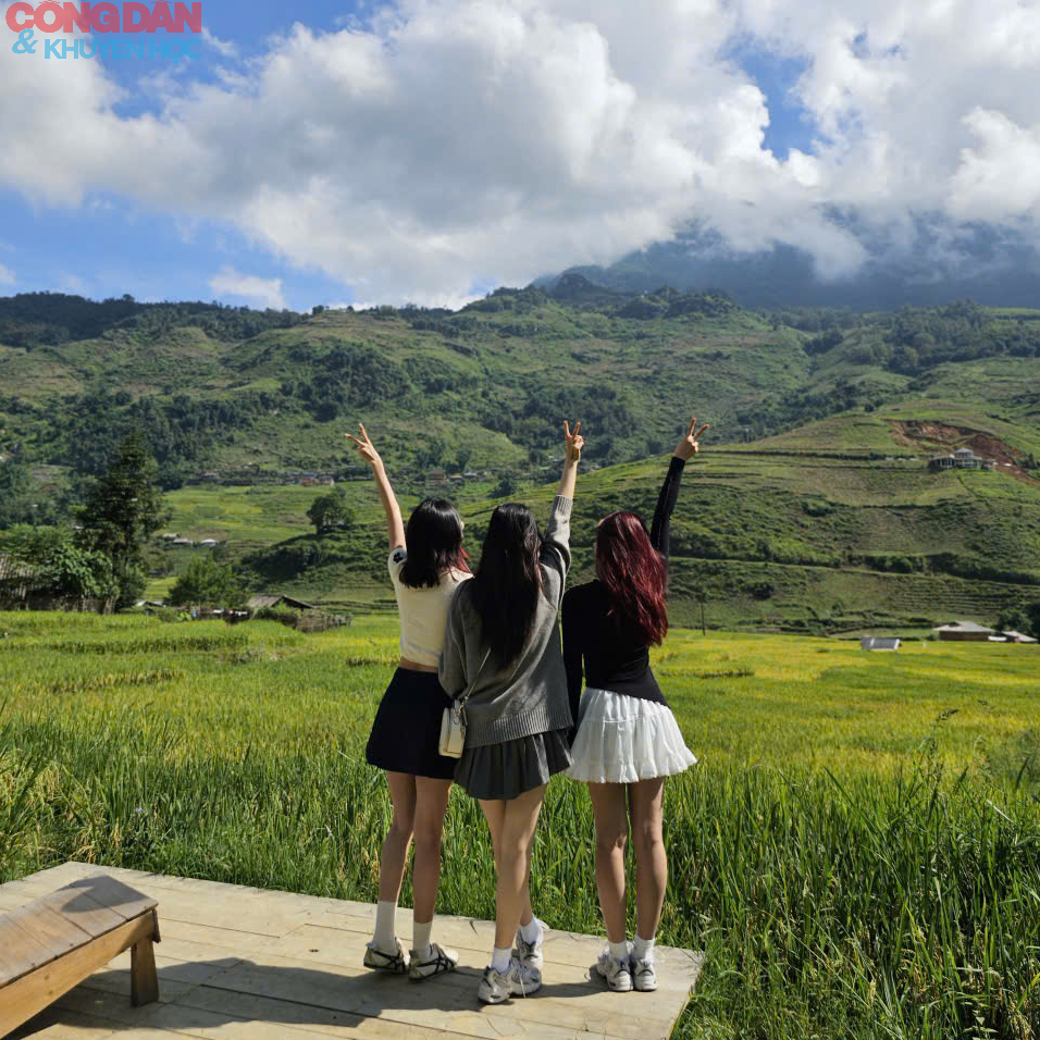 Ngắm mùa lúa vàng Sa Pa trước Quốc khánh 2/9 - Ảnh 8.