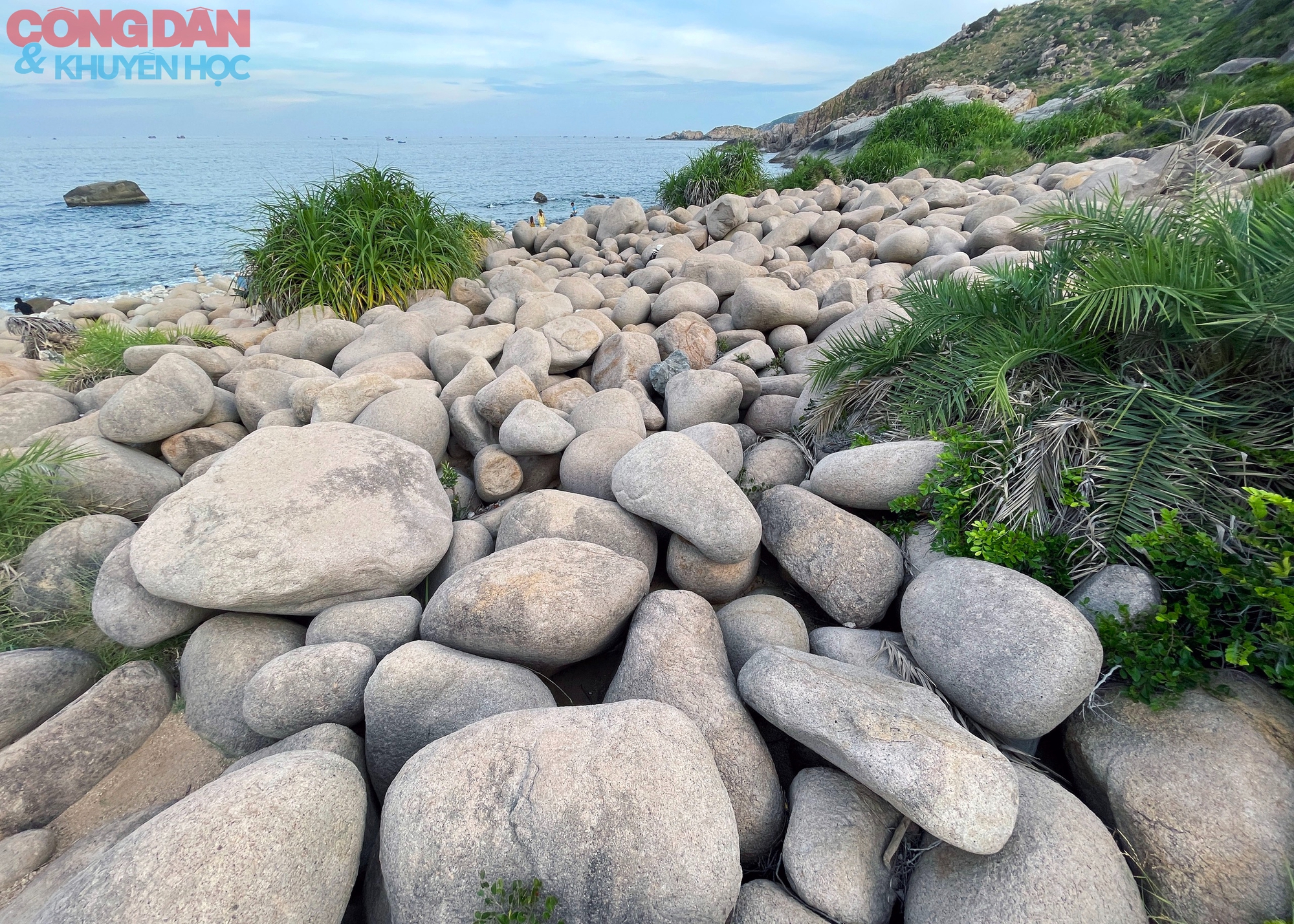 Nhung nhớ đảo Bình Hưng mùa gió lành - Ảnh 3.