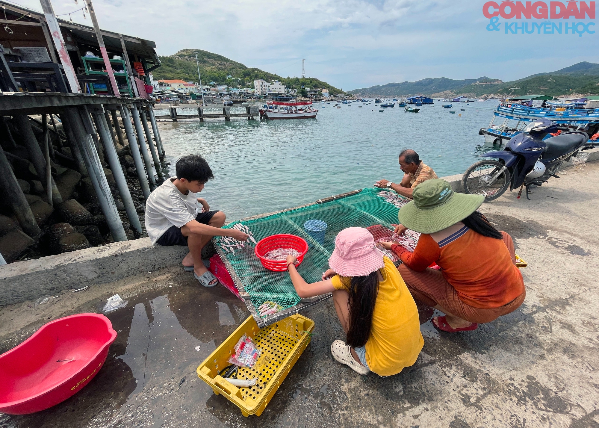 Nhung nhớ đảo Bình Hưng mùa gió lành - Ảnh 7.