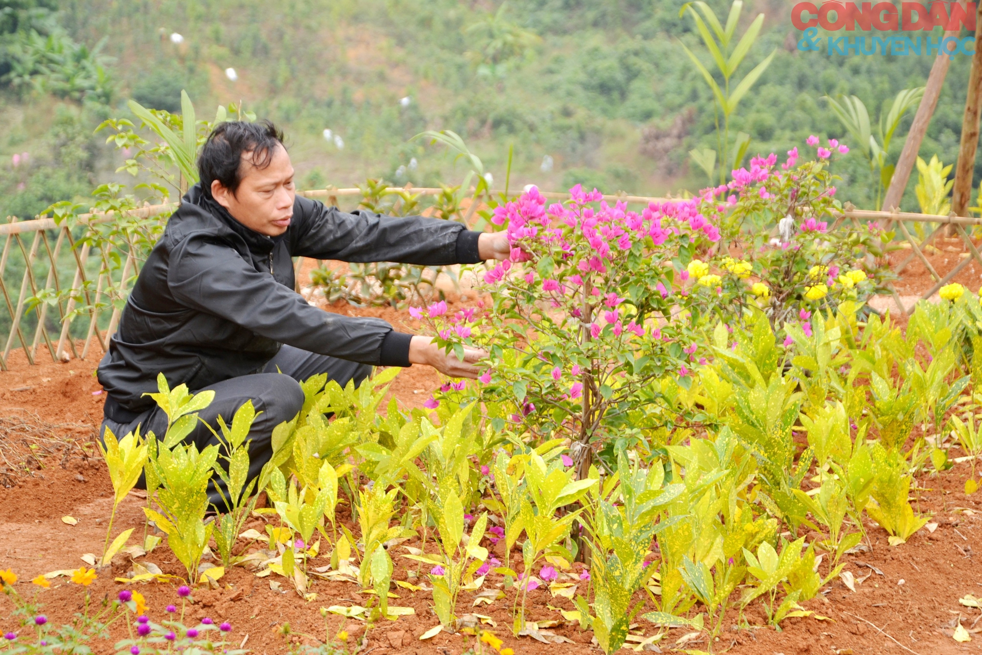 Lào Cai tưởng niệm một năm lũ quét bi thương Làng Nủ - Ảnh 12.