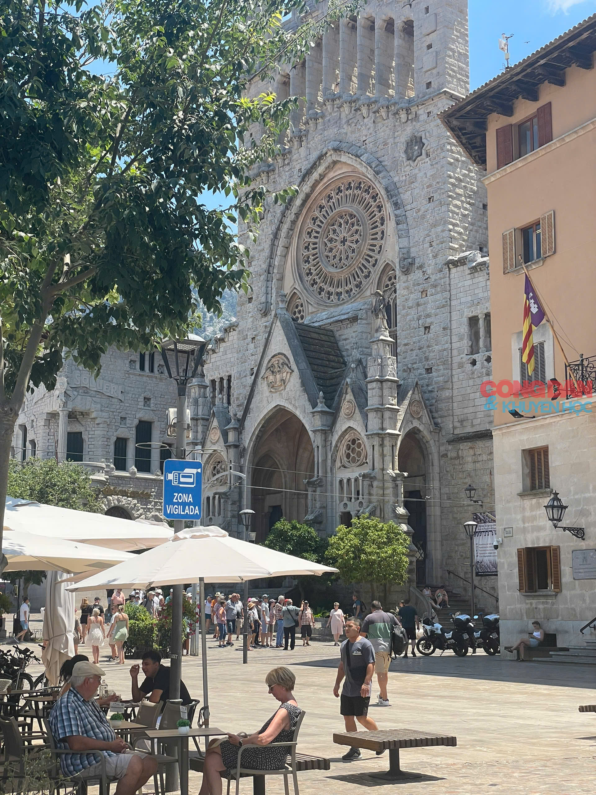 Lạc lối ở Mallorca, hòn đảo xanh xinh đẹp của Tây Ban Nha - Ảnh 3.