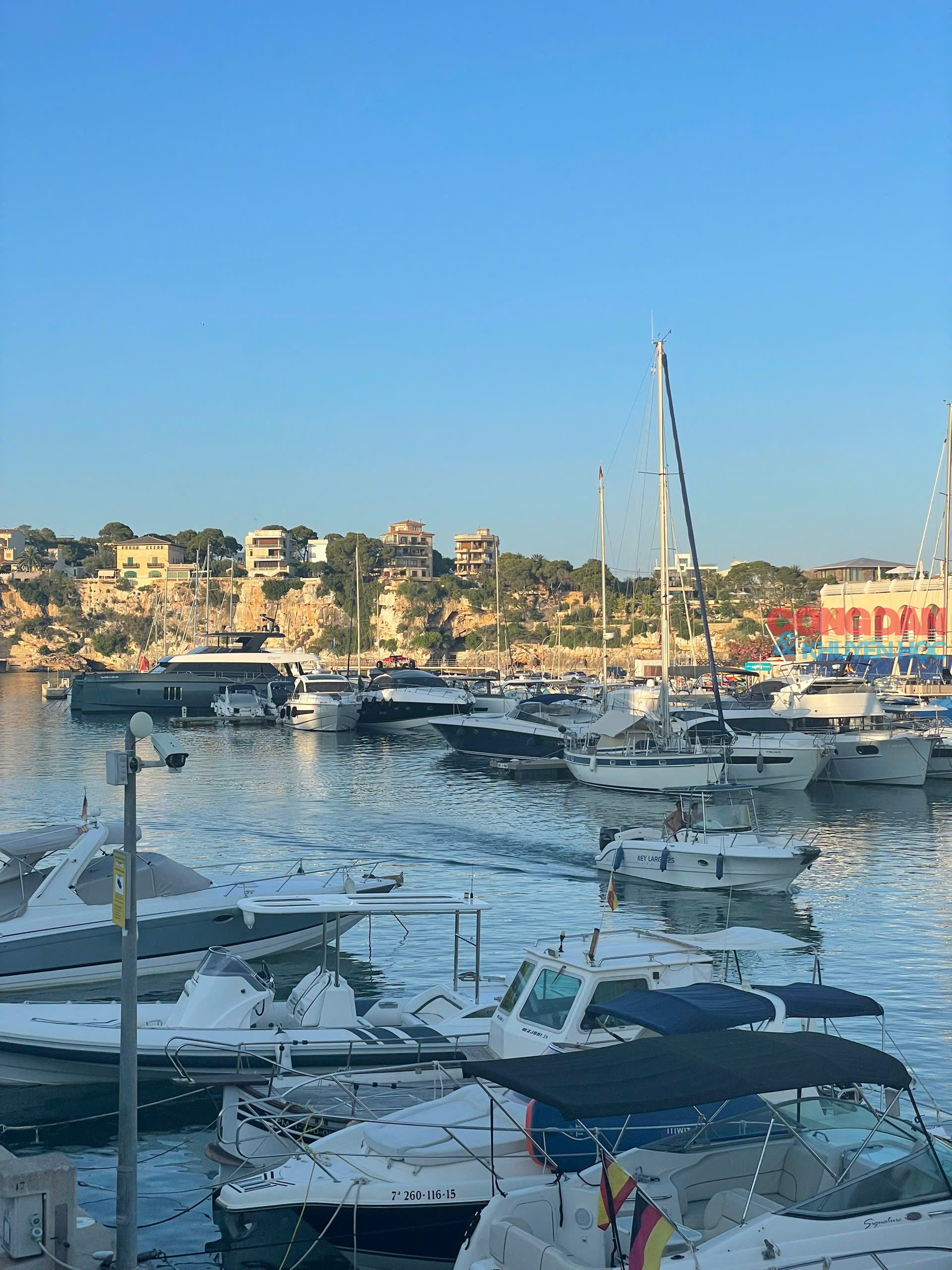 Lạc lối ở Mallorca, hòn đảo xanh xinh đẹp của Tây Ban Nha - Ảnh 5.