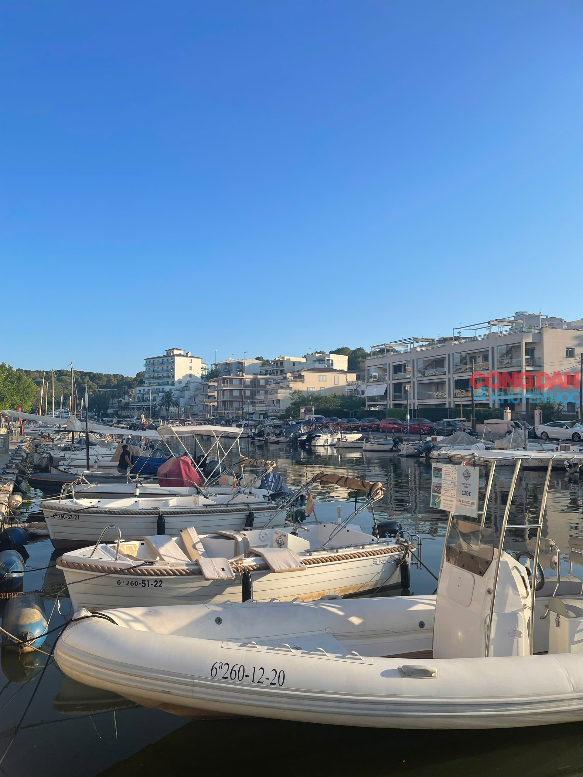 Lạc lối ở Mallorca, hòn đảo xanh xinh đẹp của Tây Ban Nha - Ảnh 6.