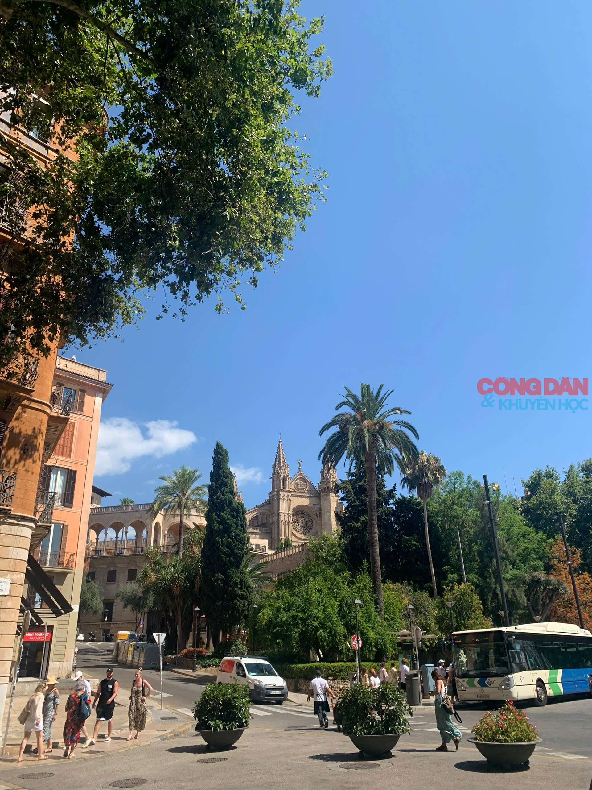 Lạc lối ở Mallorca, hòn đảo xanh xinh đẹp của Tây Ban Nha - Ảnh 7.