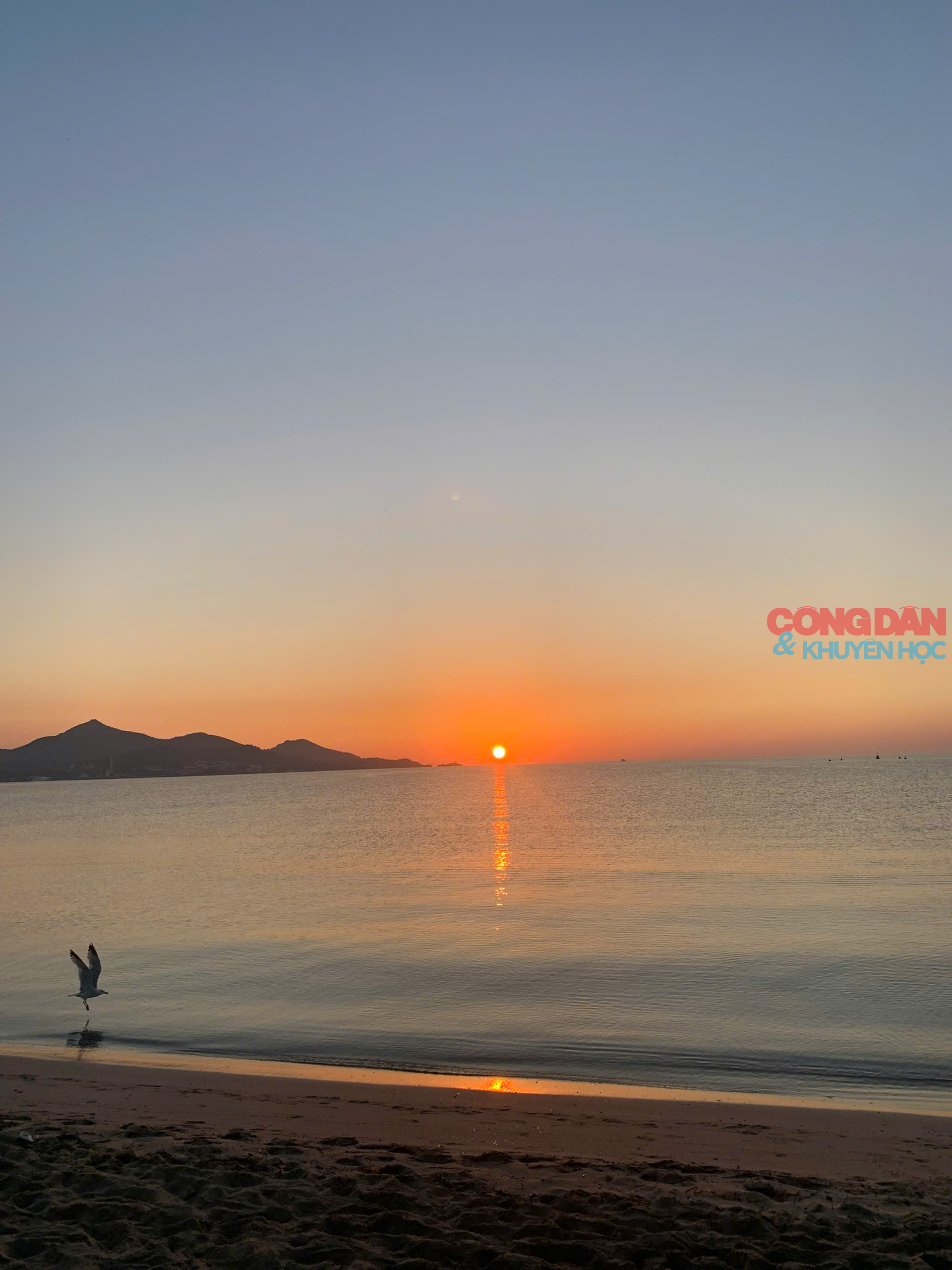 Lạc lối ở Mallorca, hòn đảo xanh xinh đẹp của Tây Ban Nha - Ảnh 8.