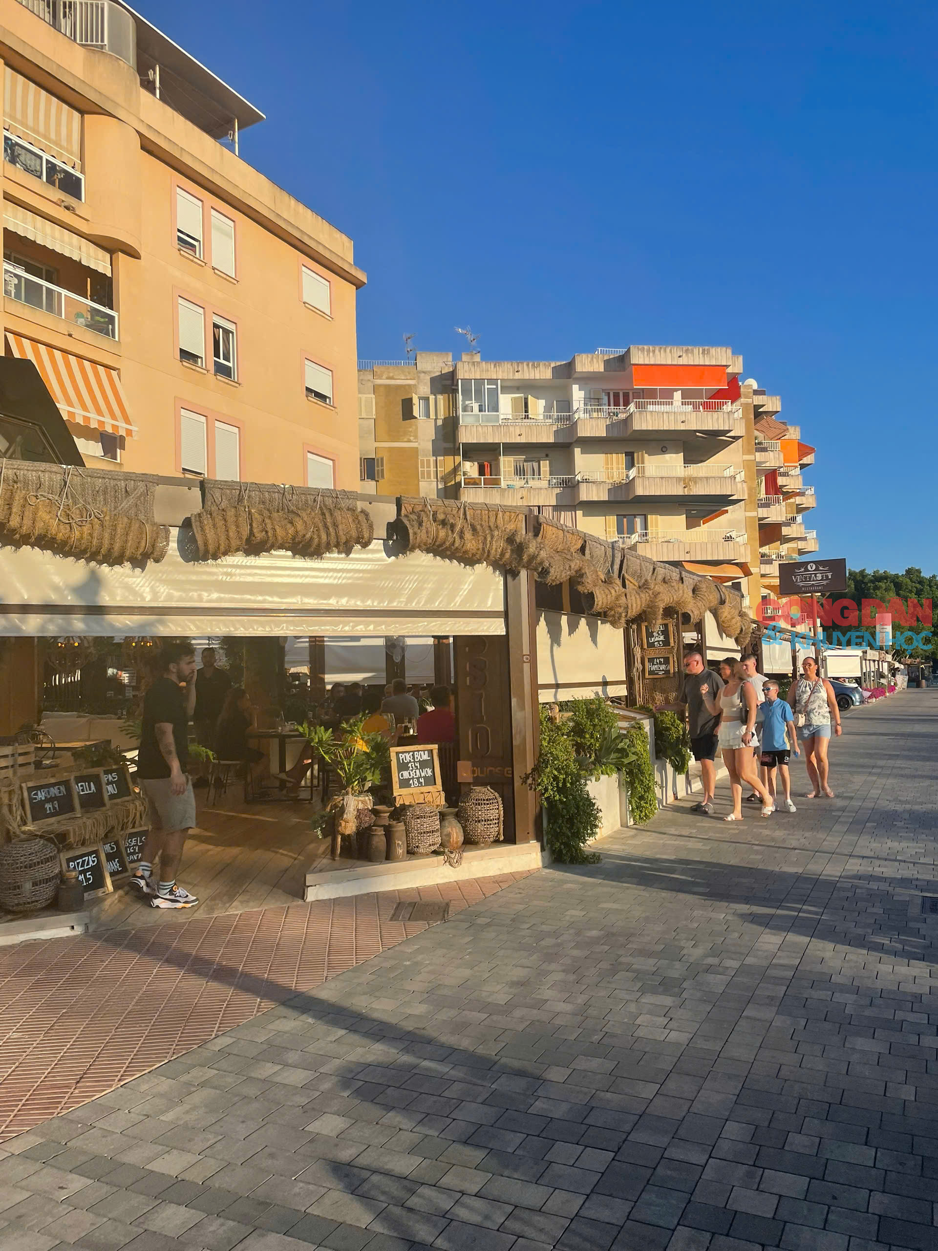 Lạc lối ở Mallorca, hòn đảo xanh xinh đẹp của Tây Ban Nha - Ảnh 10.