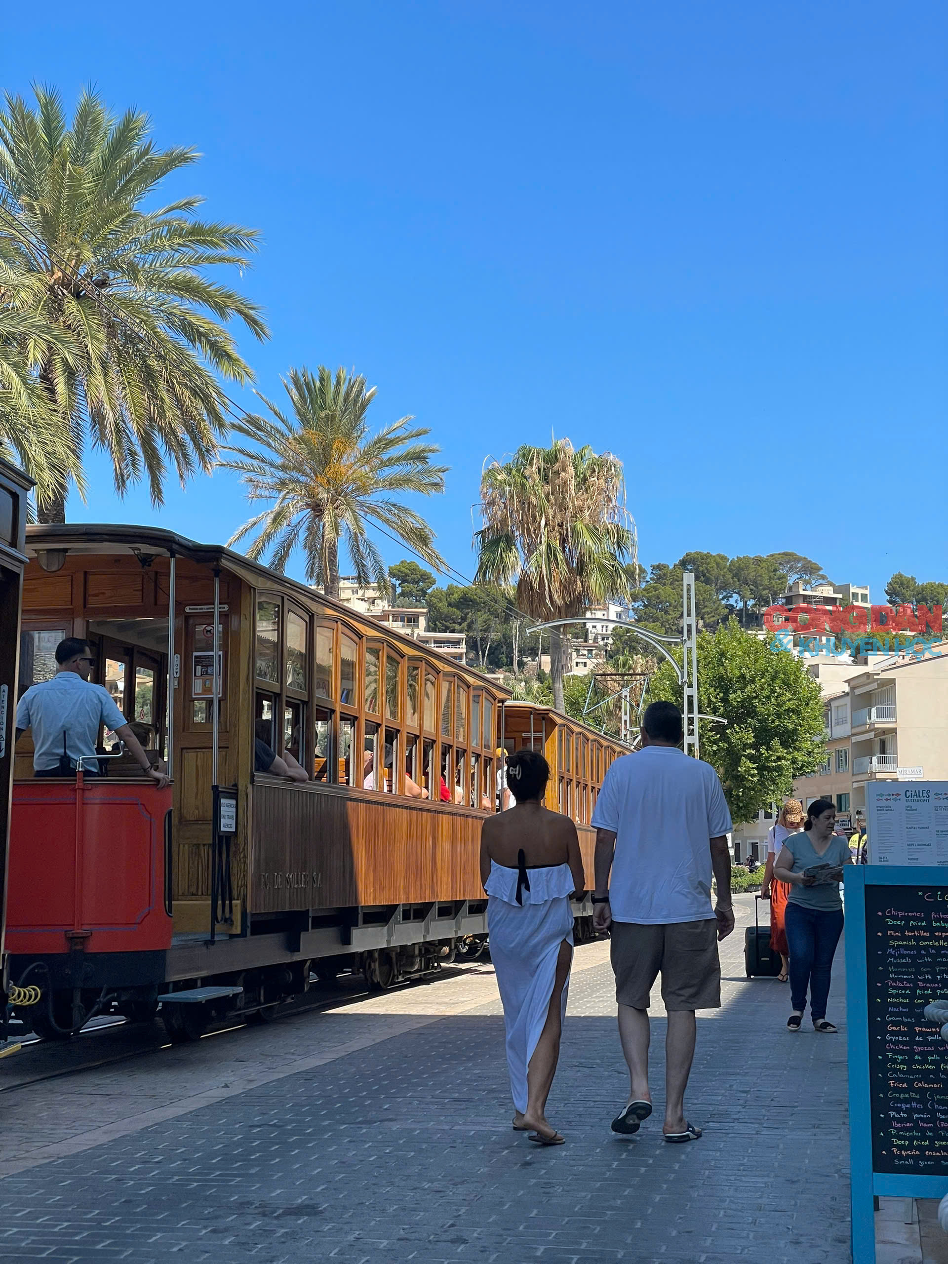 Lạc lối ở Mallorca, hòn đảo xanh xinh đẹp của Tây Ban Nha - Ảnh 11.