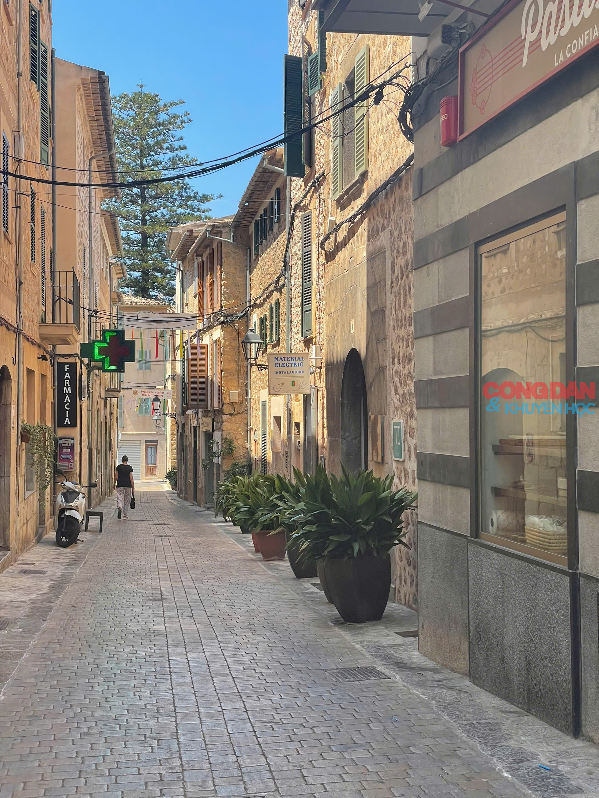 Lạc lối ở Mallorca, hòn đảo xanh xinh đẹp của Tây Ban Nha - Ảnh 12.