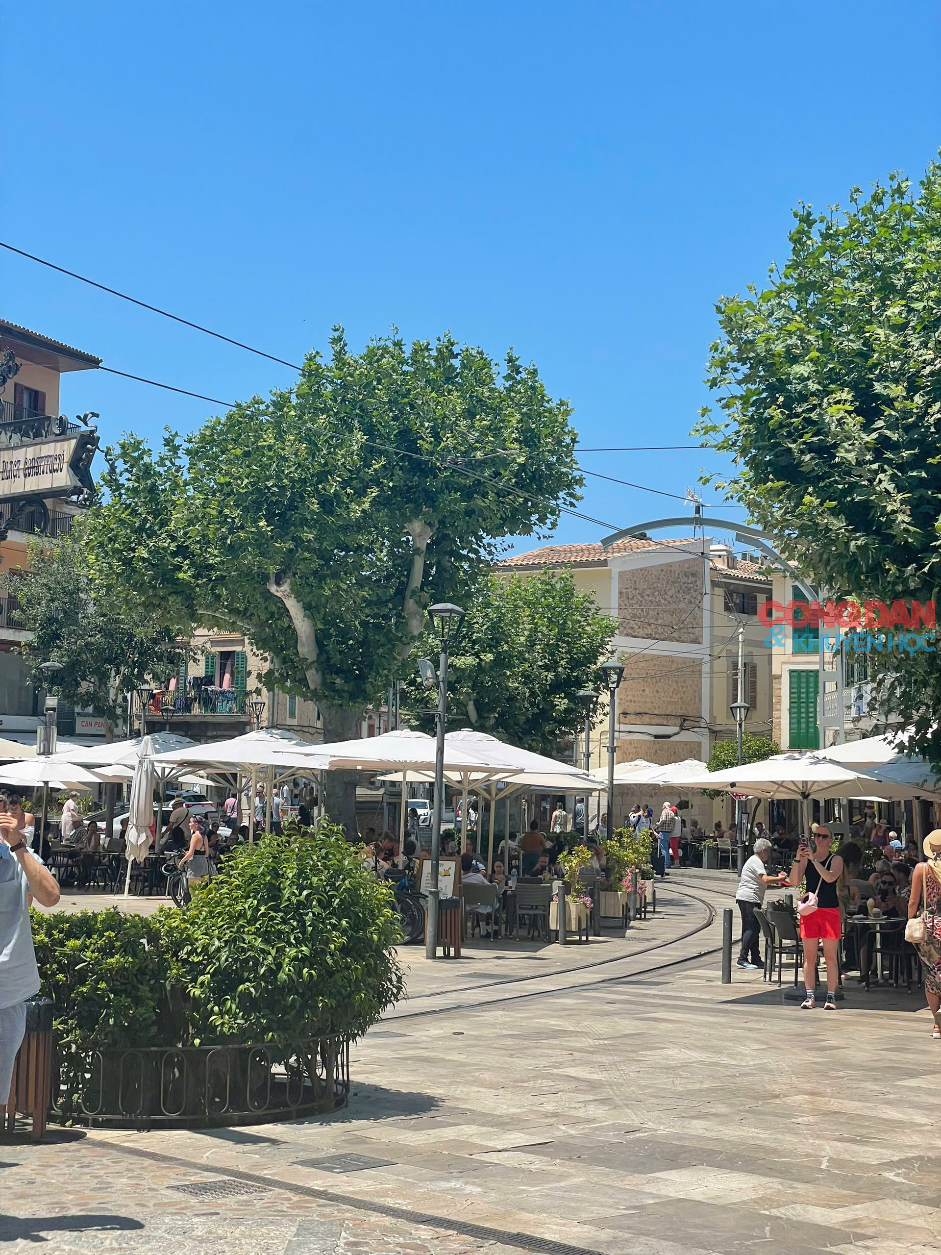 Lạc lối ở Mallorca, hòn đảo xanh xinh đẹp của Tây Ban Nha - Ảnh 13.