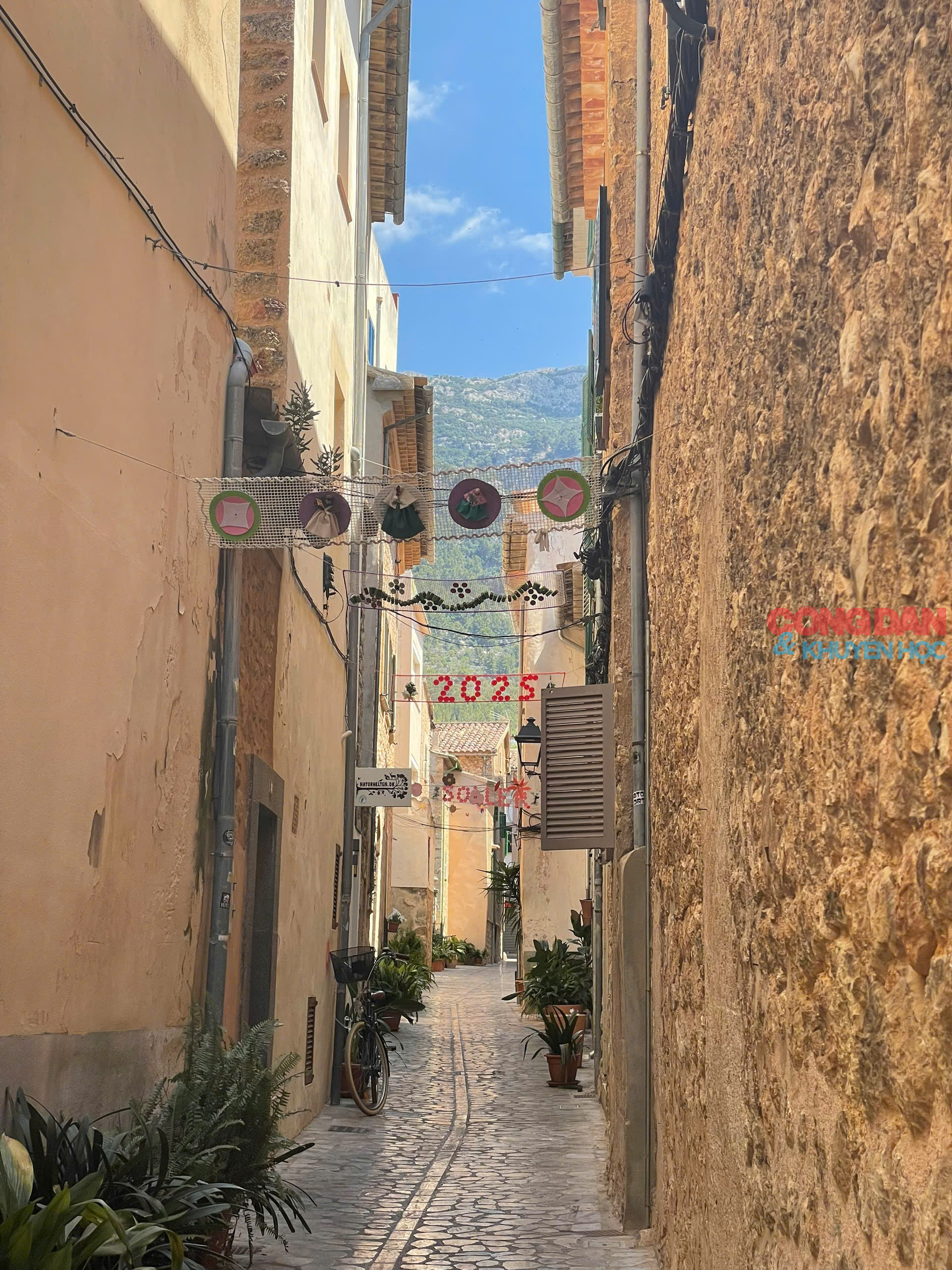 Lạc lối ở Mallorca, hòn đảo xanh xinh đẹp của Tây Ban Nha - Ảnh 15.