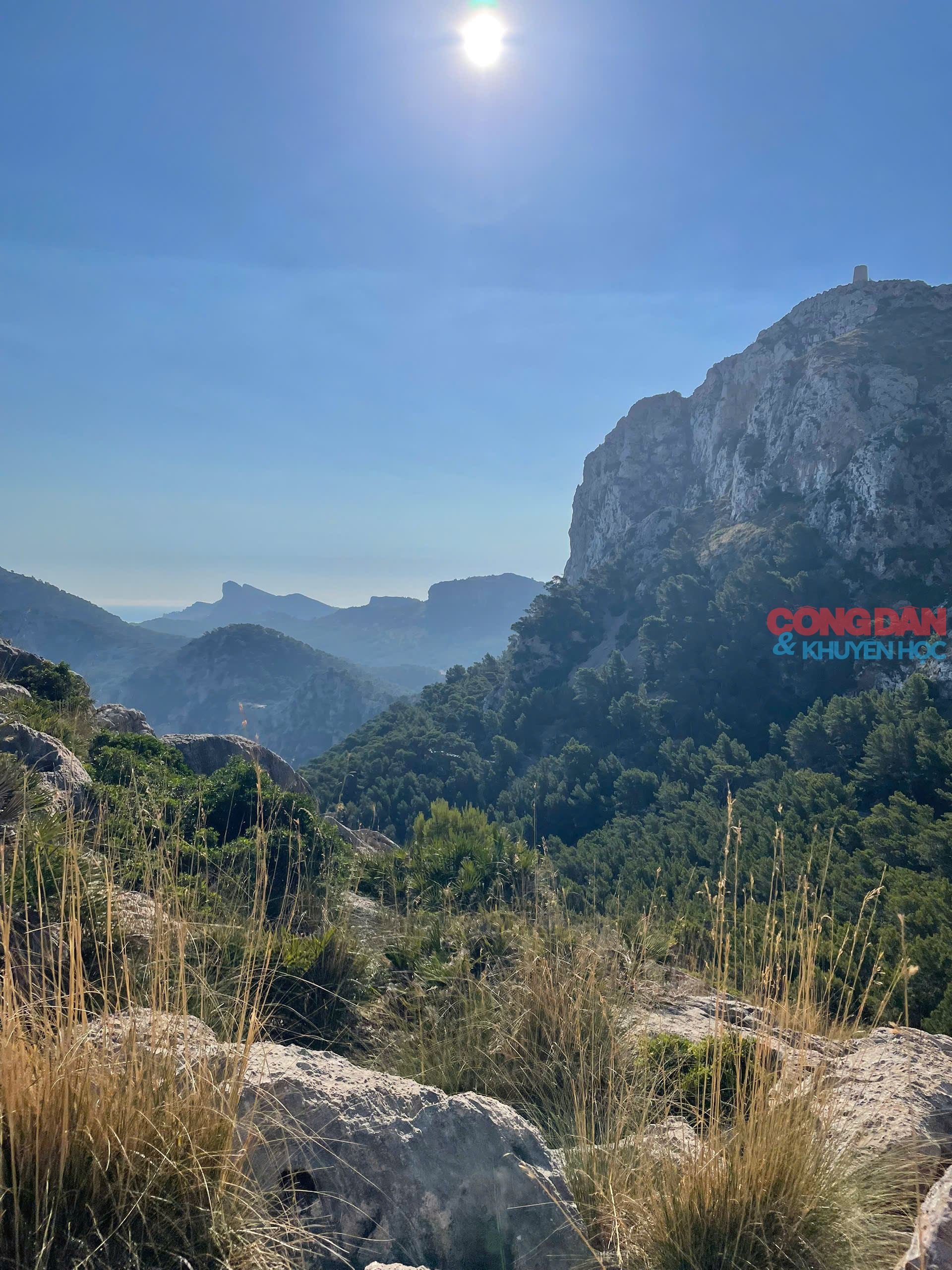 Lạc lối ở Mallorca, hòn đảo xanh xinh đẹp của Tây Ban Nha - Ảnh 16.
