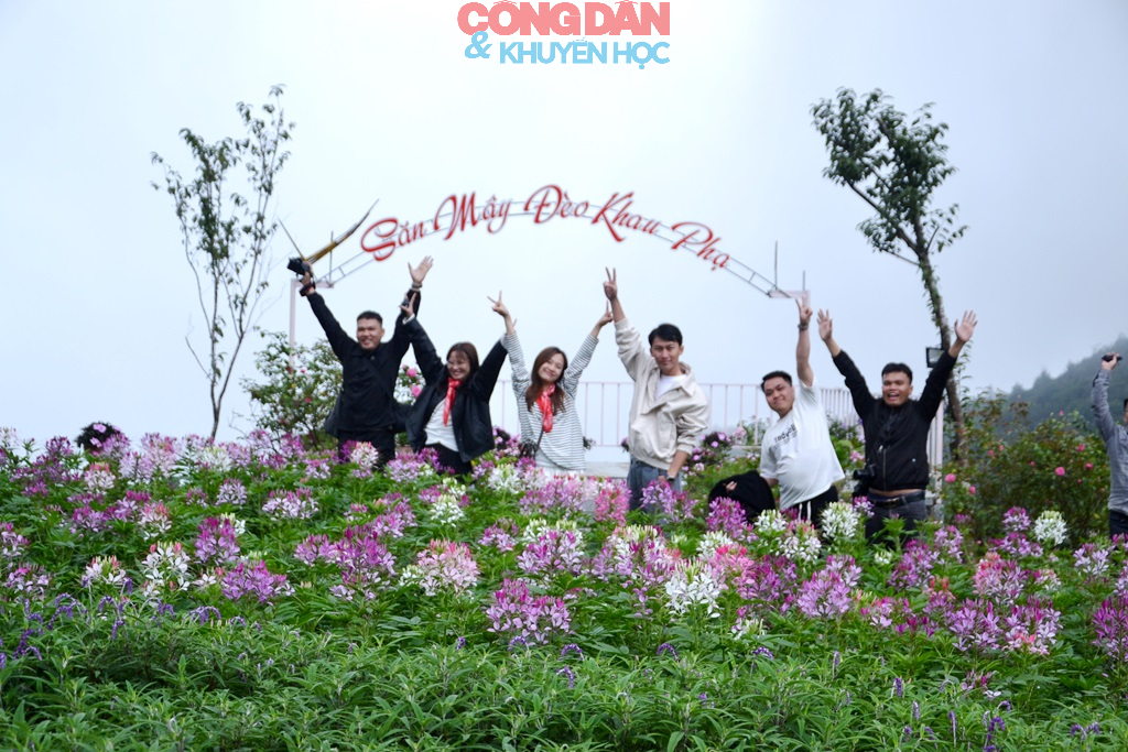 Lễ hội cốm “Hương sắc mùa thu Tú Lệ” khai mạc vào ngày 20/9 - Ảnh 11.
