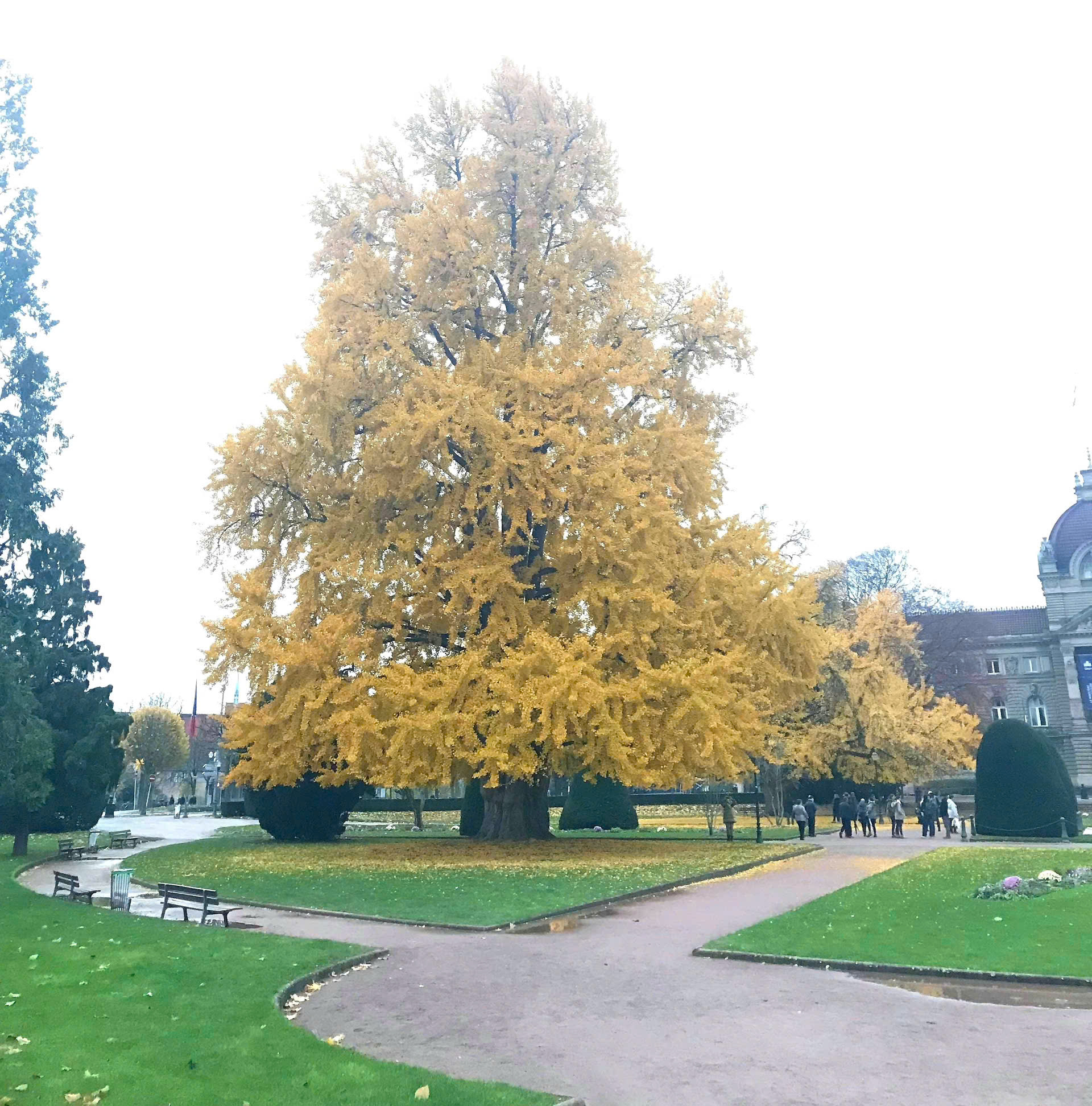 Lạc lối ở Strasbourg, thành phố cổ kính với nét đẹp ưu tư ở nước Pháp - Ảnh 10.