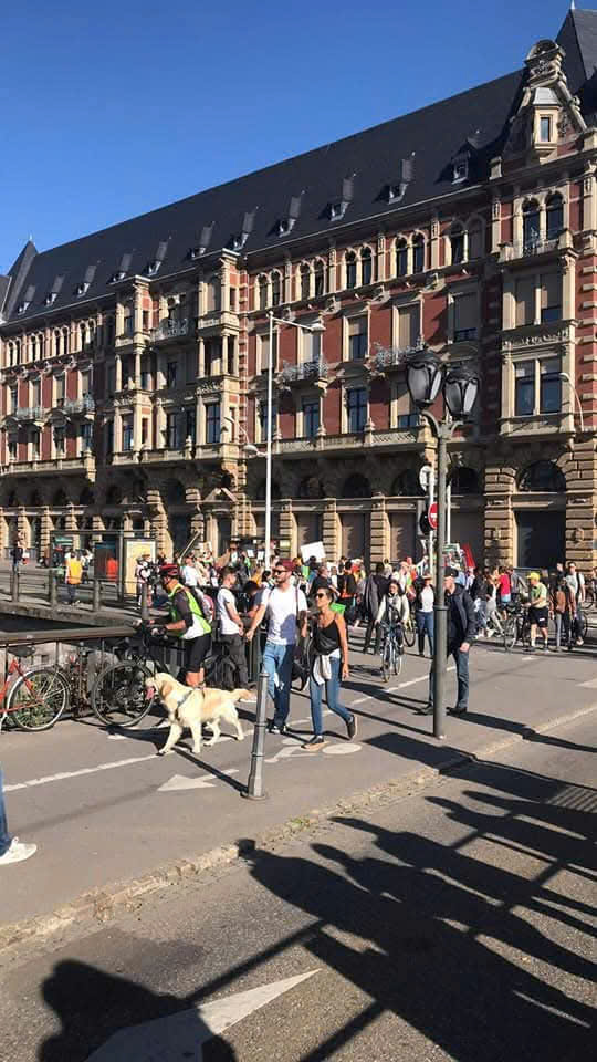 Lạc lối ở Strasbourg, thành phố cổ kính với nét đẹp ưu tư ở nước Pháp - Ảnh 18.
