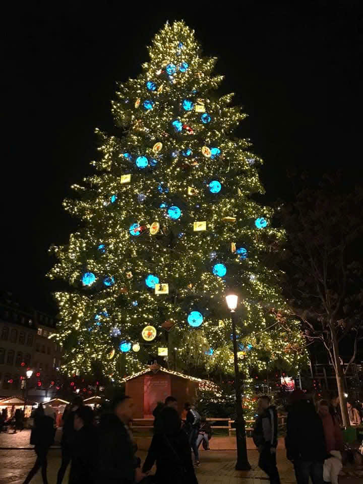 Lạc lối ở Strasbourg, thành phố cổ kính với nét đẹp ưu tư ở nước Pháp - Ảnh 7.
