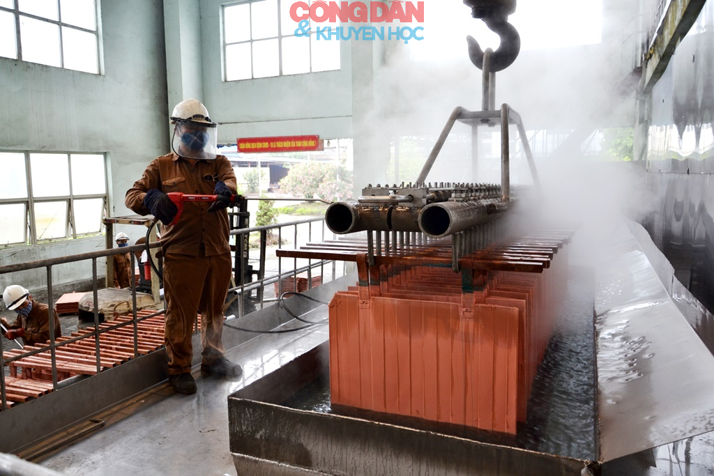 Lào Cai hướng về điểm hẹn của niềm tin và khát vọng - Ảnh 18.