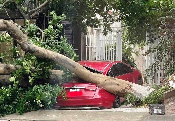 Bão số 10 gây mưa lớn tại Lào Cai, làm 1 người mất tích, thiệt hại hàng trăm ngôi nhà- Ảnh 6.