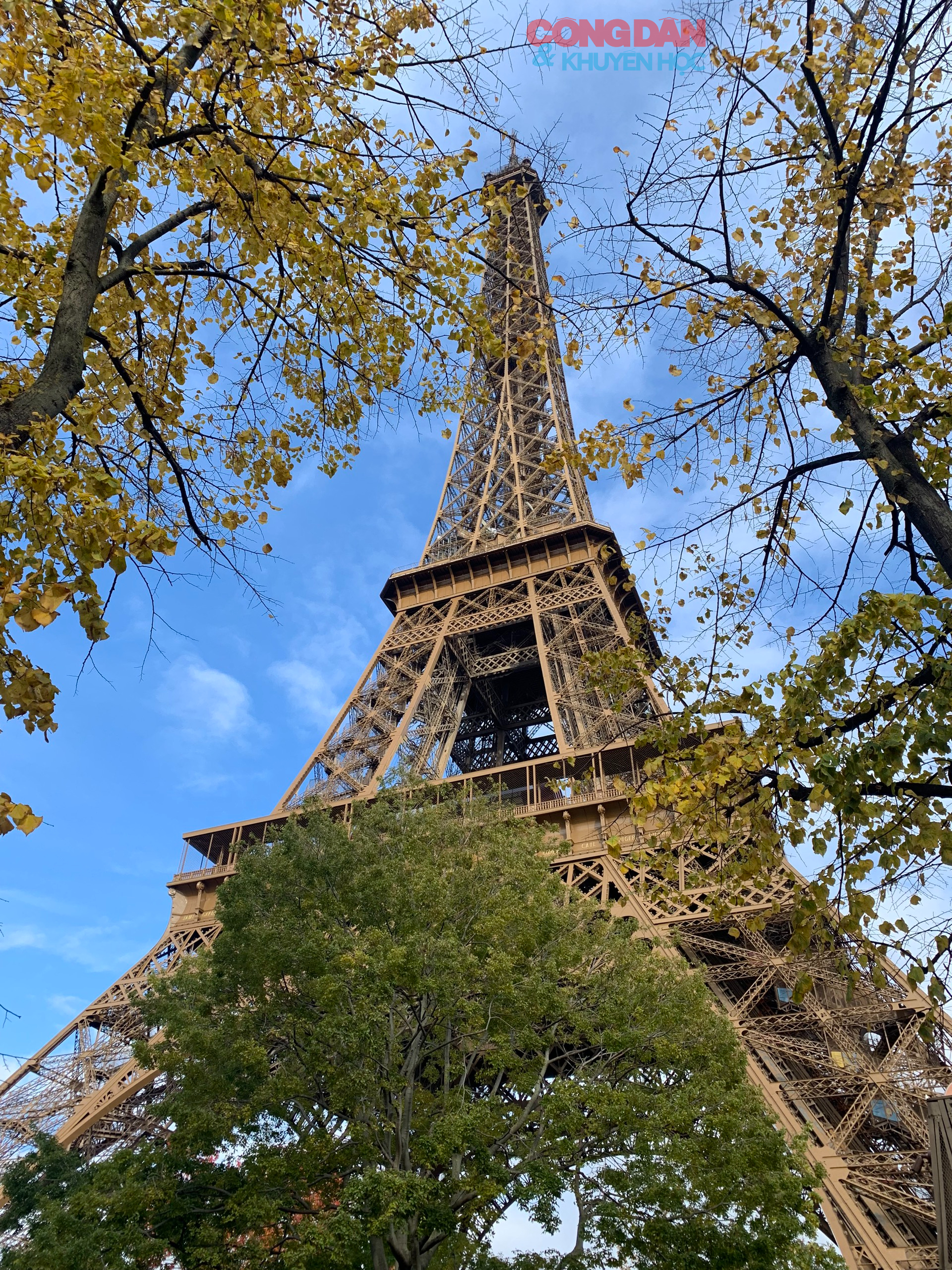 Khám phá Paris, "Kinh đô ánh sáng" của nước Pháp - Ảnh 3.