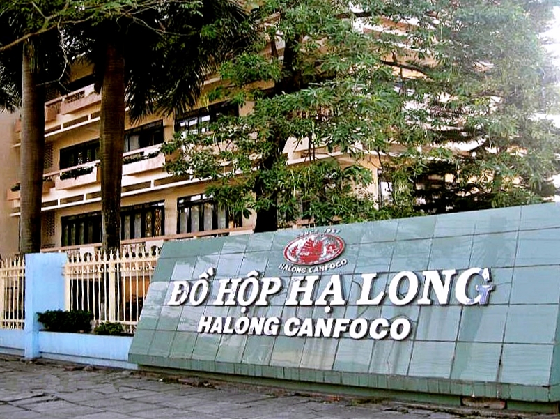 Vụ 130 tấn lợn nhiễm dịch tả ch&acirc;u Phi, c&ocirc;ng ty Đồ hộp Hạ Long n&oacute;i g&igrave;? - Ảnh 1.