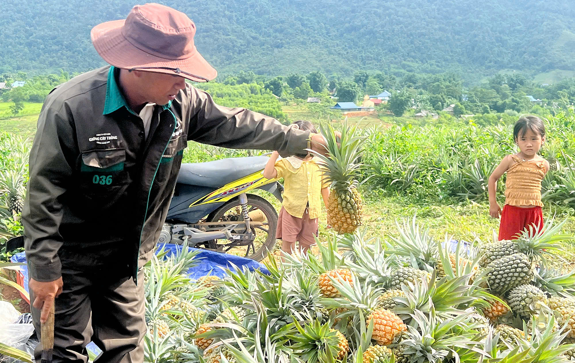 Hành trình bền bỉ đưa sản phẩm nông nghiệp sạch đứng vững tại thị trường Châu Âu - Ảnh 7.