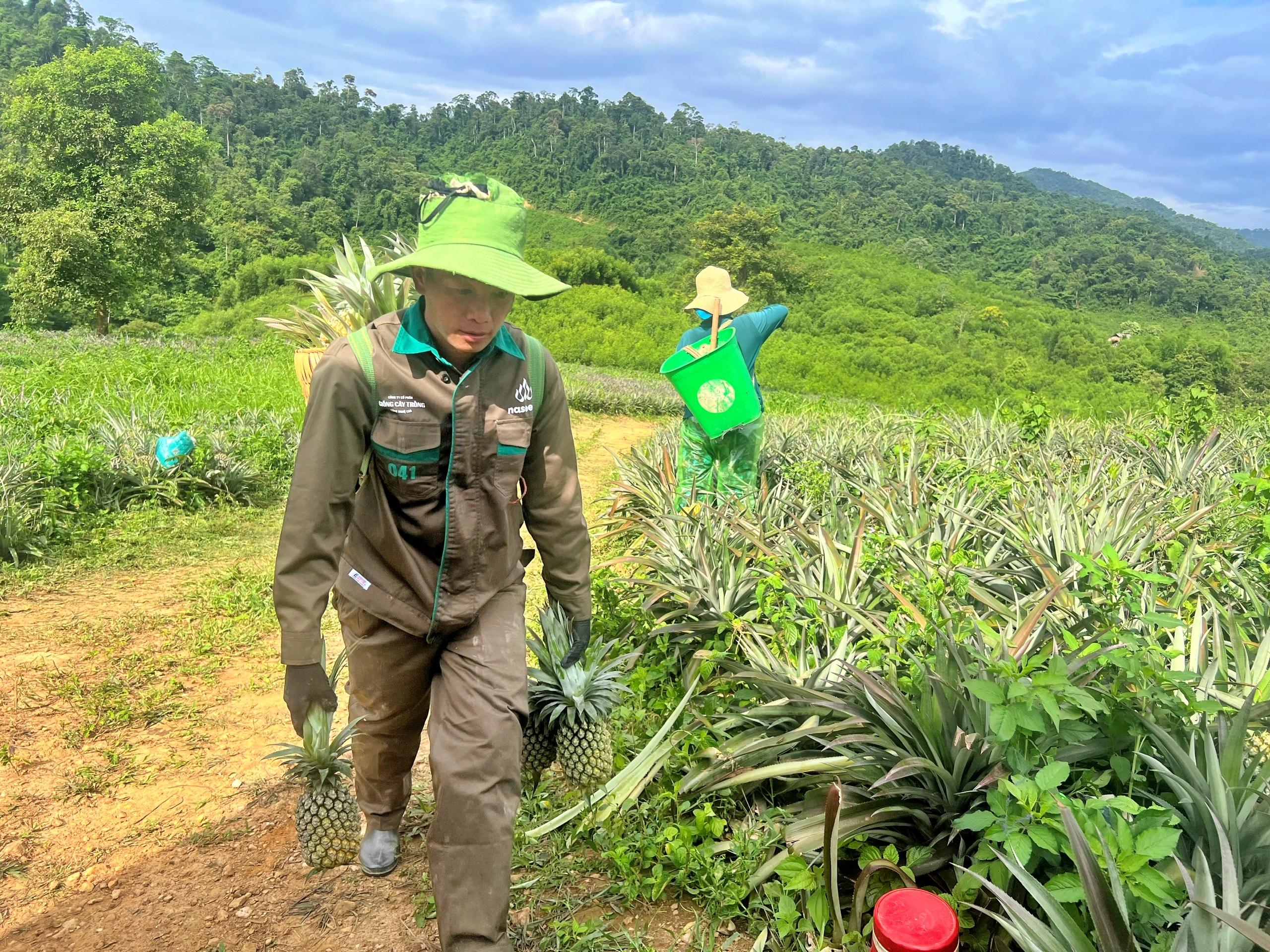 Hành trình bền bỉ đưa sản phẩm nông nghiệp sạch đứng vững tại thị trường Châu Âu - Ảnh 8.