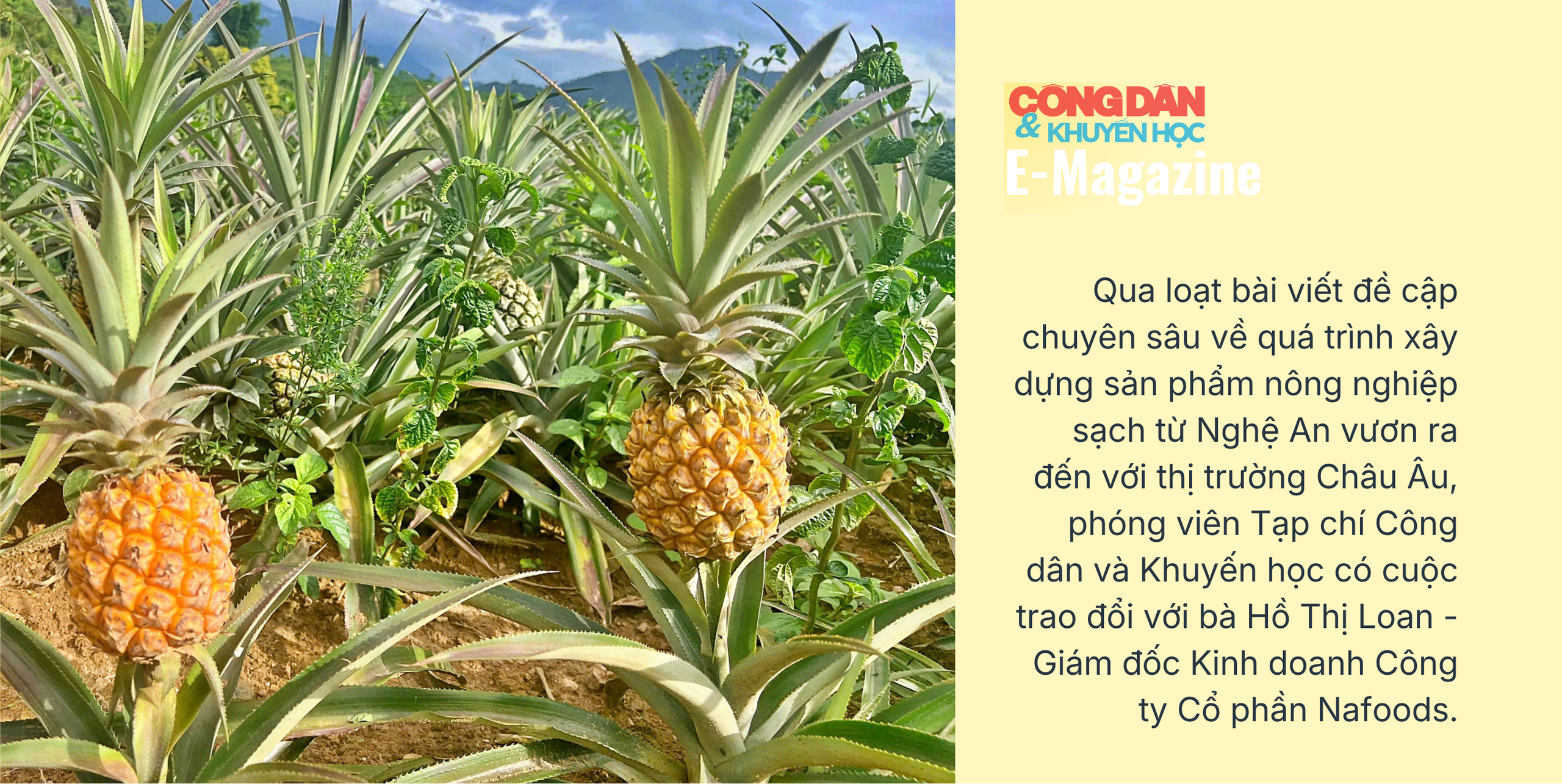 Hành trình bền bỉ đưa sản phẩm nông nghiệp sạch đứng vững tại thị trường Châu Âu - Ảnh 1.