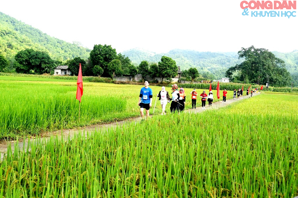 Lào Cai: Gần 700 VĐV leo núi trên thảm vàng mùa thu Cốc San - Ảnh 1.