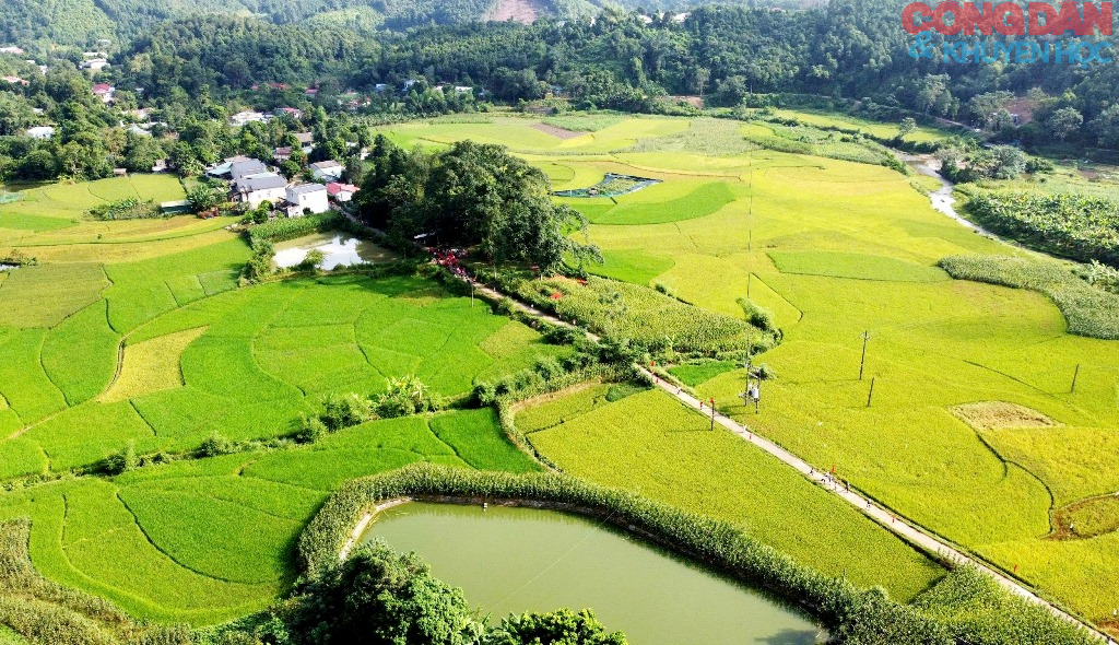 Lào Cai: Gần 700 VĐV leo núi trên thảm vàng mùa thu Cốc San - Ảnh 2.