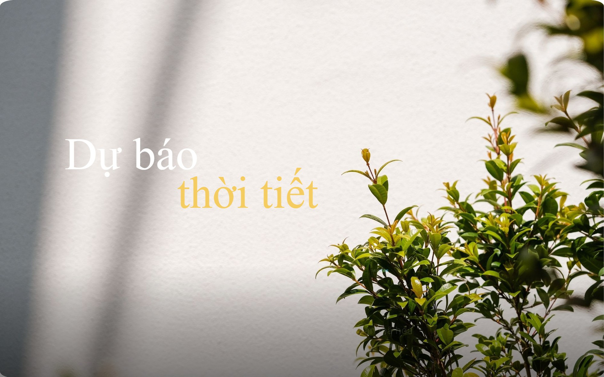 Dự b&aacute;o thời tiết miền Bắc c&oacute; nơi trời r&eacute;t - Ảnh 1.