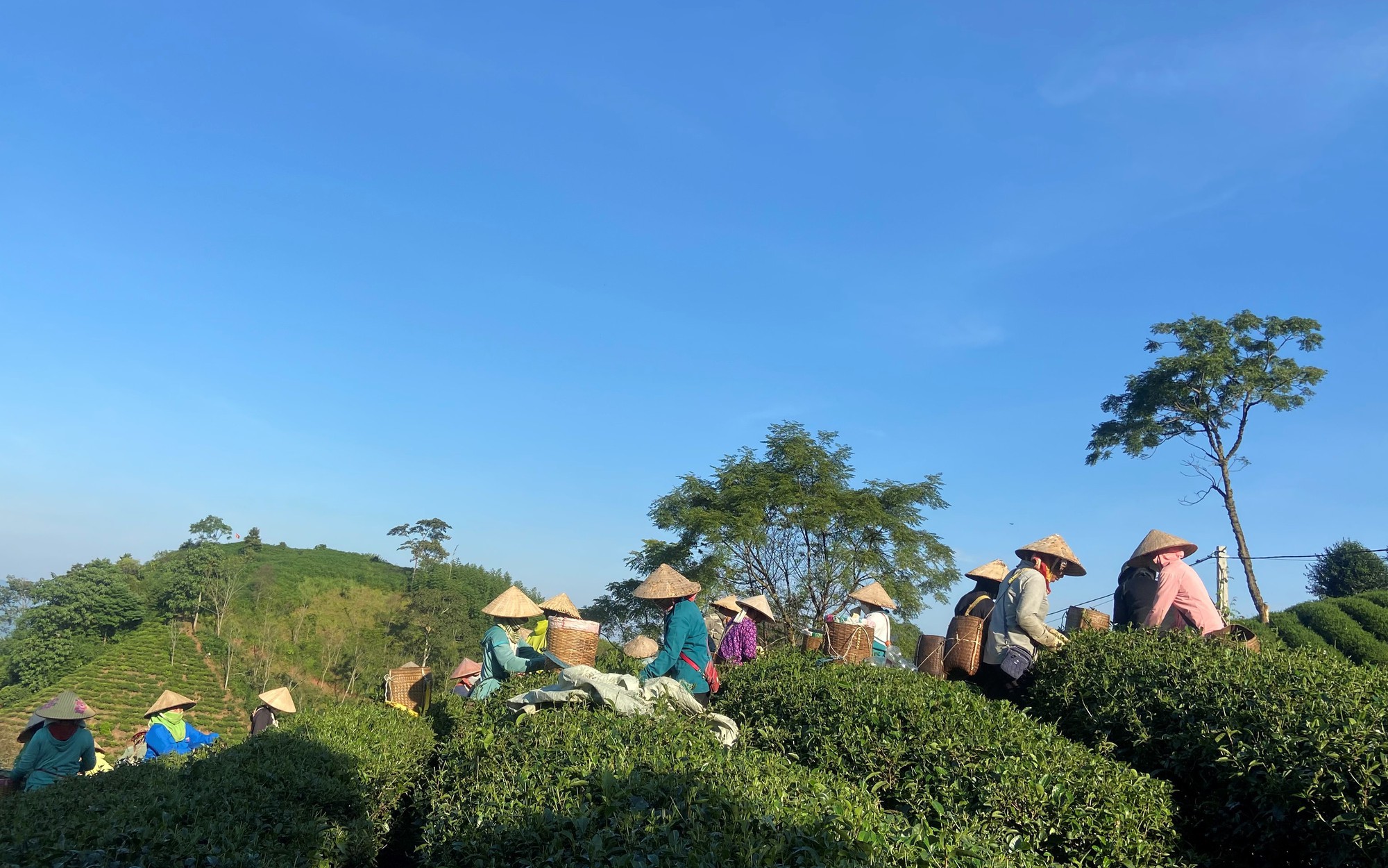 Dự báo thời tiết các khu vực dịp 20/10 - Ảnh 1.