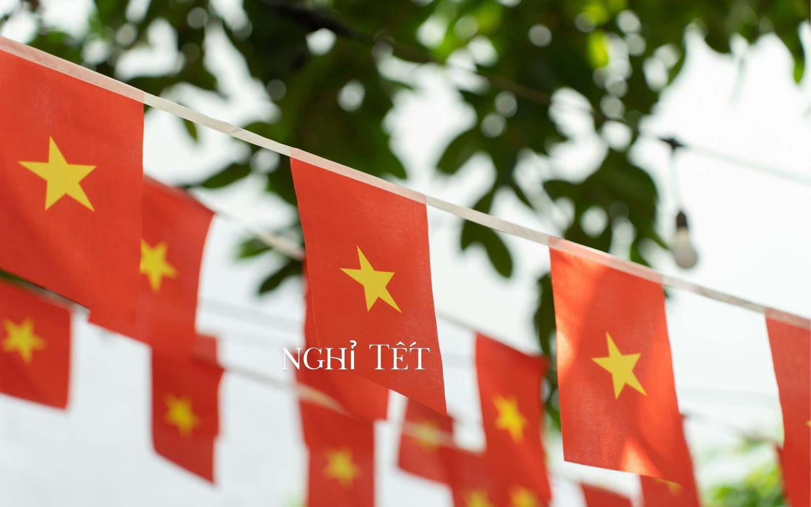 Thời tiết 10 ng&agrave;y tới v&agrave; Tết B&iacute;nh Ngọ 2026 - Ảnh 1.