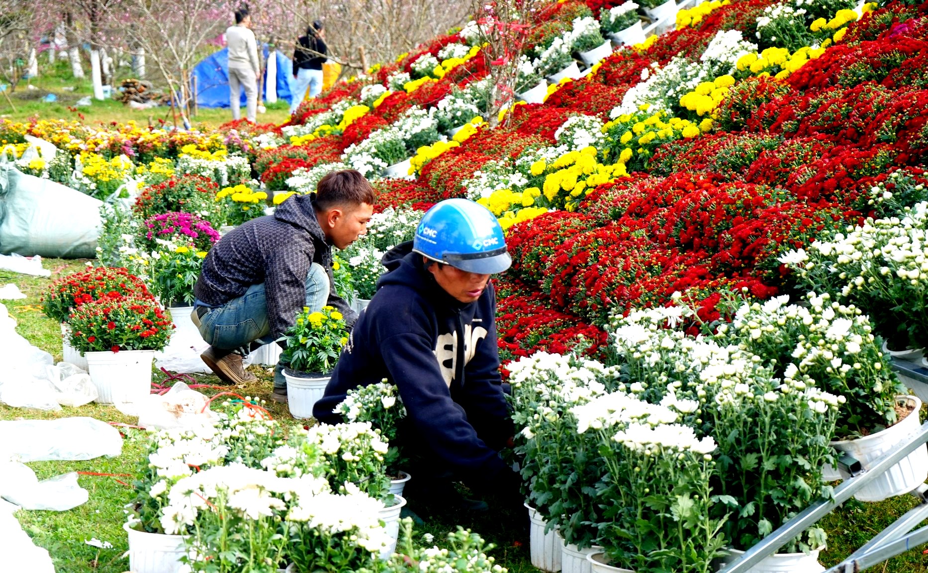 Sa Pa rực rỡ sắc m&agrave;u đ&oacute;n xu&acirc;n, vui Tết - Ảnh 11.