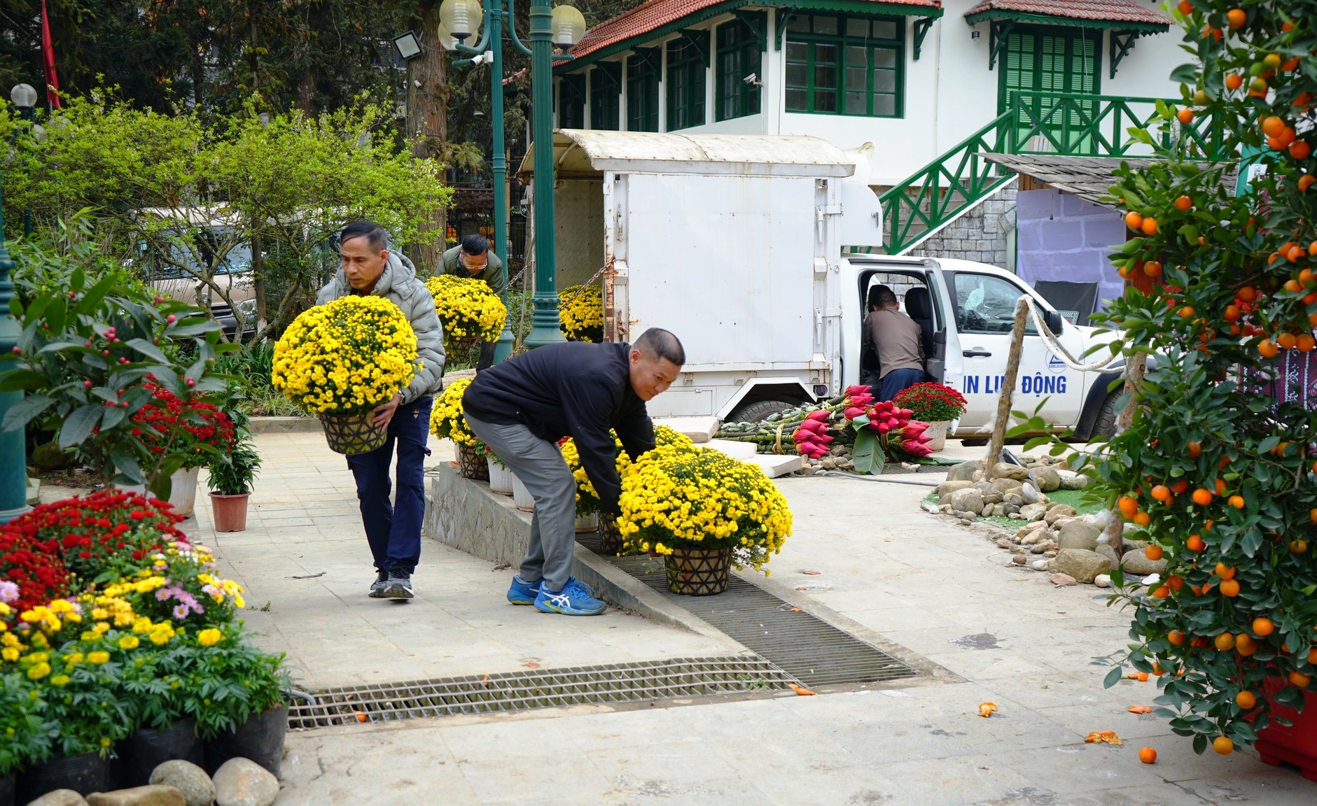 Sa Pa rực rỡ sắc m&agrave;u đ&oacute;n xu&acirc;n, vui Tết - Ảnh 9.