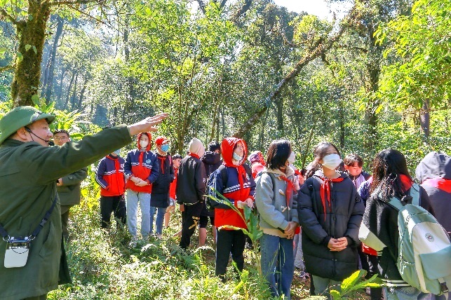 Giữ vững màu xanh Hoàng Liên bằng tri thức và tình yêu với rừng - Ảnh 11.