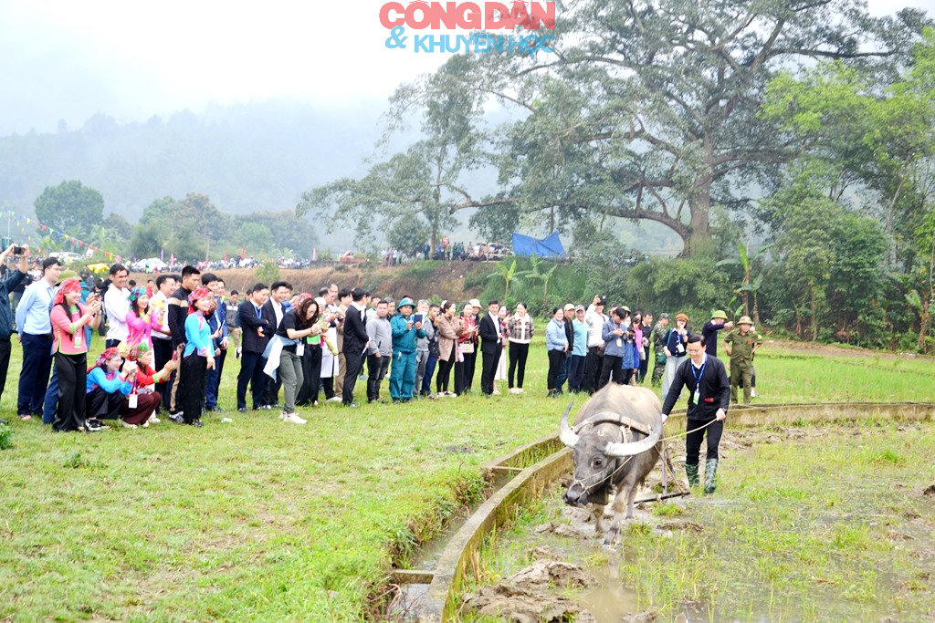 Đồng bào Giáy ở Cốc San tưng bừng hội xuống đồng đầu năm mới - Ảnh 17.