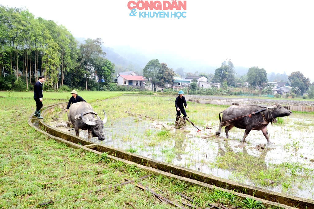 Đồng bào Giáy ở Cốc San tưng bừng hội xuống đồng đầu năm mới - Ảnh 18.