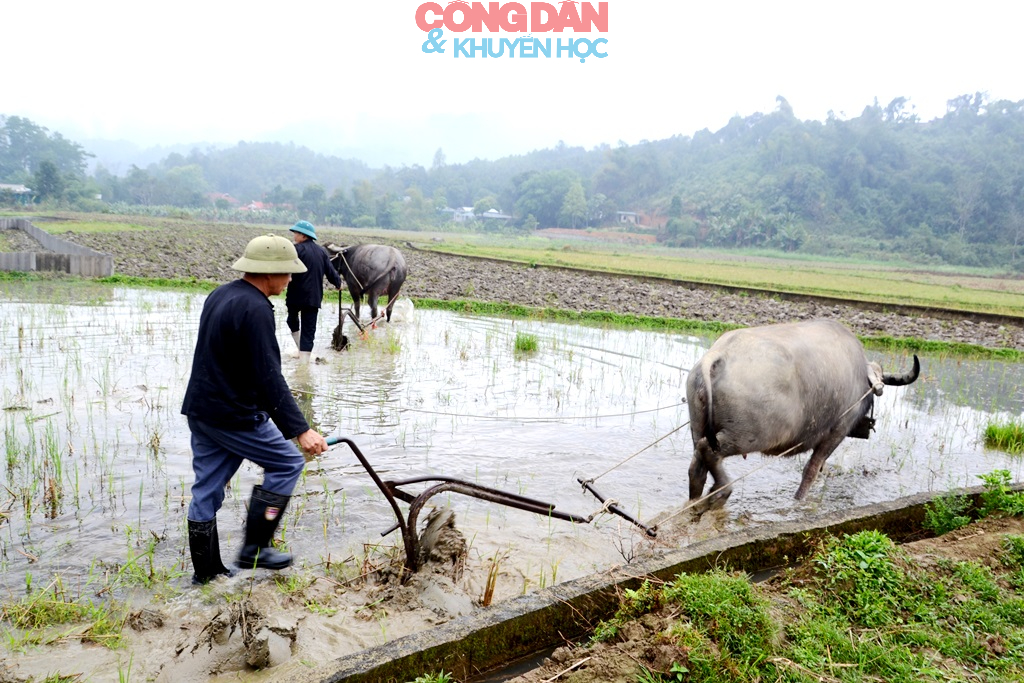 Đồng bào Giáy ở Cốc San tưng bừng hội xuống đồng đầu năm mới - Ảnh 19.