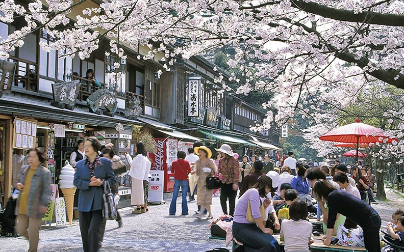 Du kh&aacute;ch chuẩn bị cho cao điểm du lịch m&ugrave;a hoa anh đ&agrave;o 2026 - Ảnh 6.