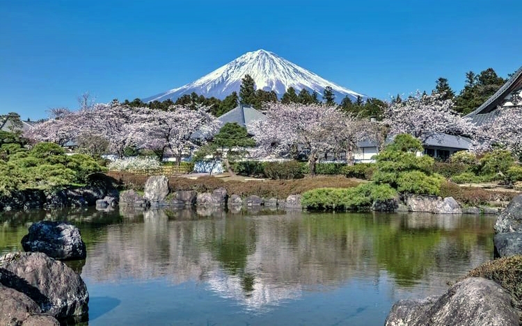 Du kh&aacute;ch chuẩn bị cho cao điểm du lịch m&ugrave;a hoa anh đ&agrave;o 2026 - Ảnh 5.