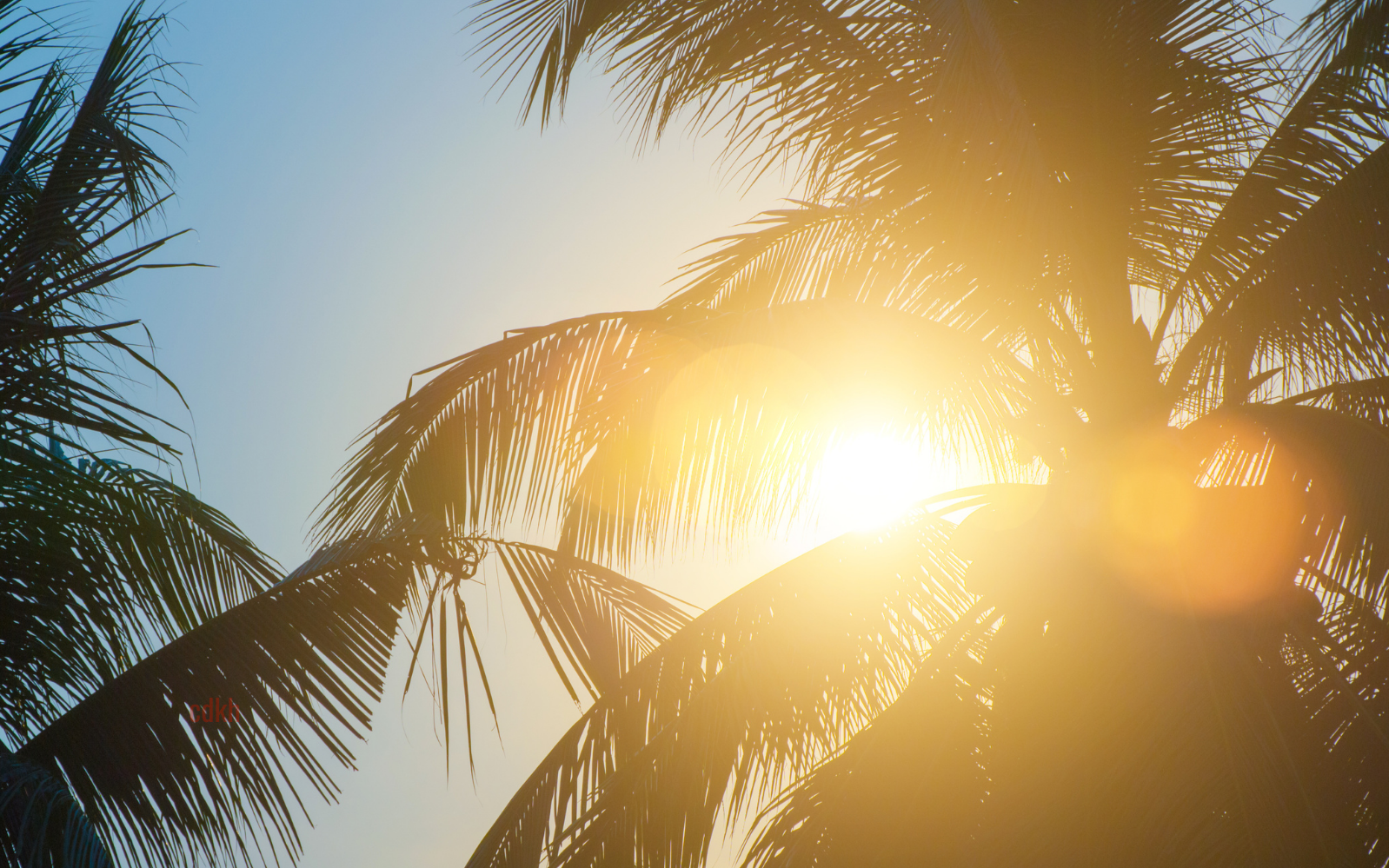 Nắng n&oacute;ng c&oacute; xu hướng gia tăng từ th&aacute;ng 4/2026 - Ảnh 1.