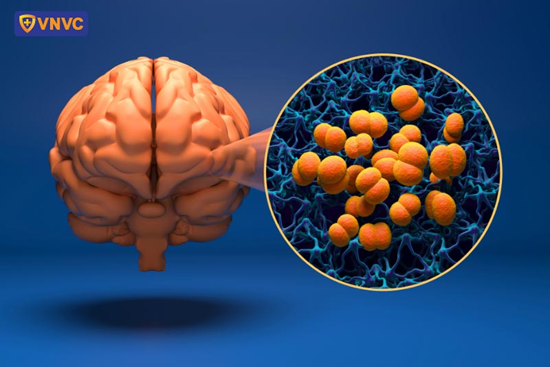 Nhận biết căn bệnh n&atilde;o m&ocirc; cầu g&acirc;y tử vong - Ảnh 1.