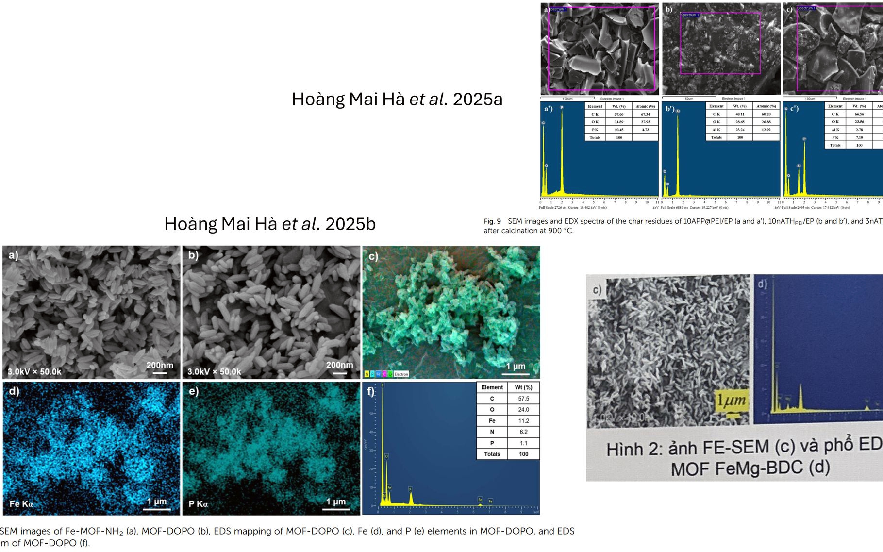 Có ít nhất 3 dự án đoạt giải Nhất khoa học kĩ thuật cấp quốc gia vi phạm liêm chính? - Ảnh 2.